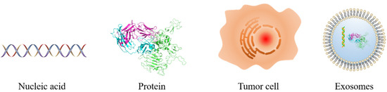 A Review of Biosensors for Detecting Tumor Markers in Breast Cancer