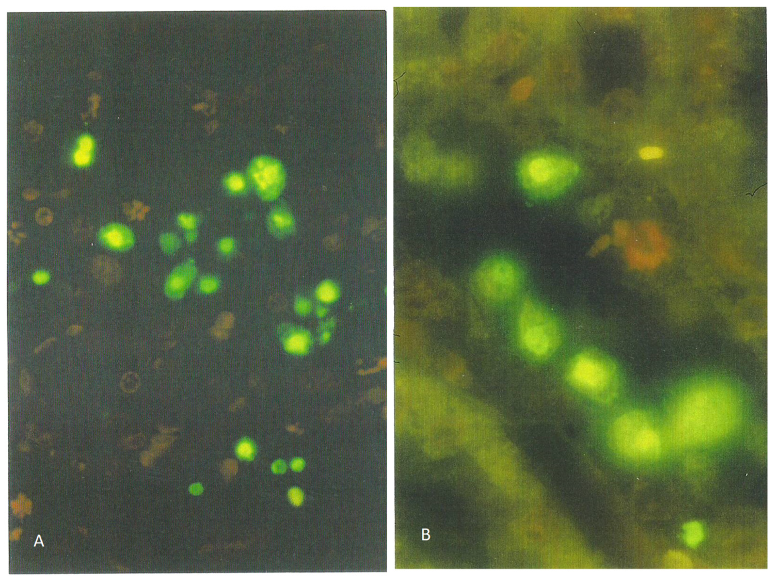 Life 12 00352 g001 550