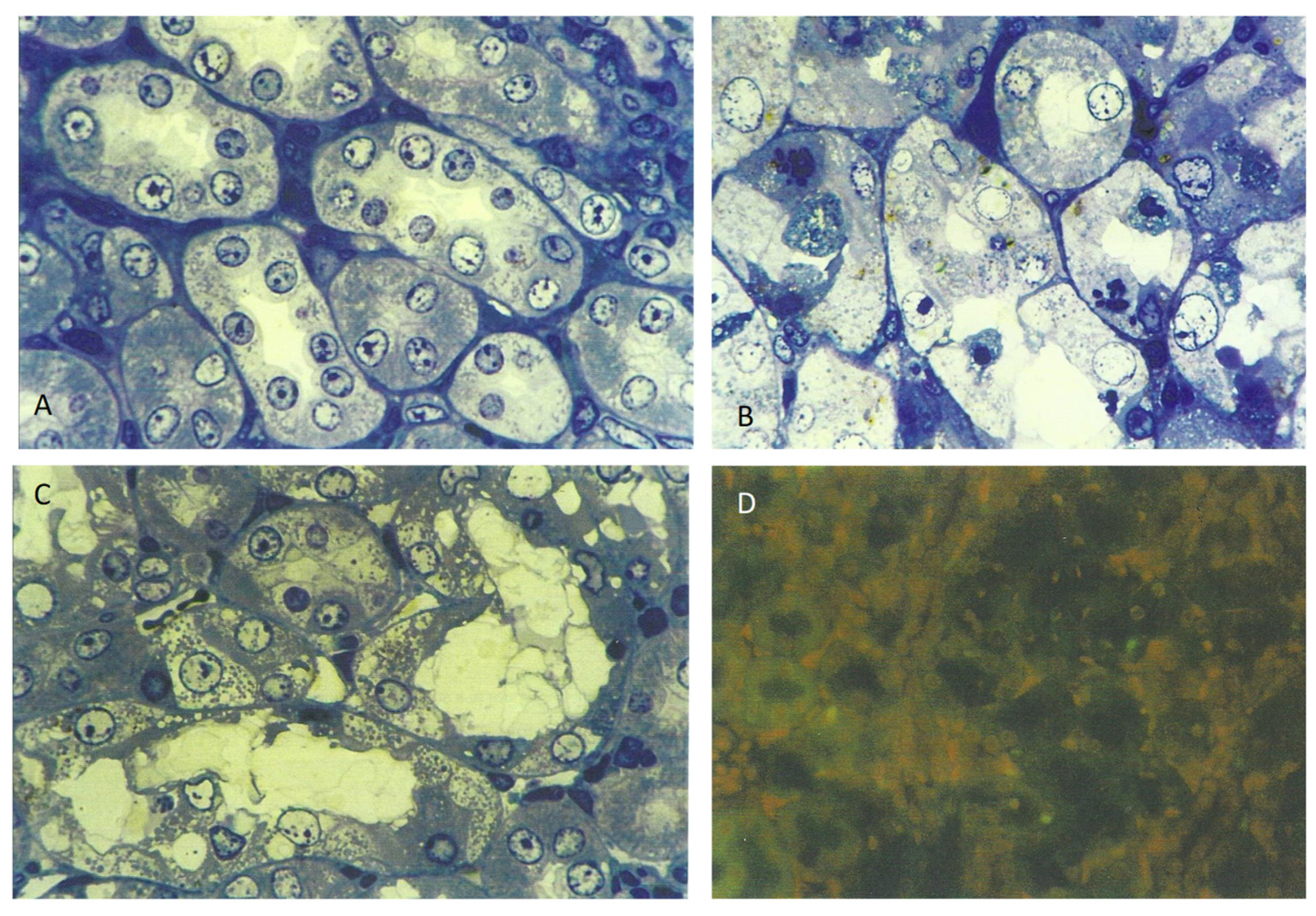 Life 12 00352 g002 550