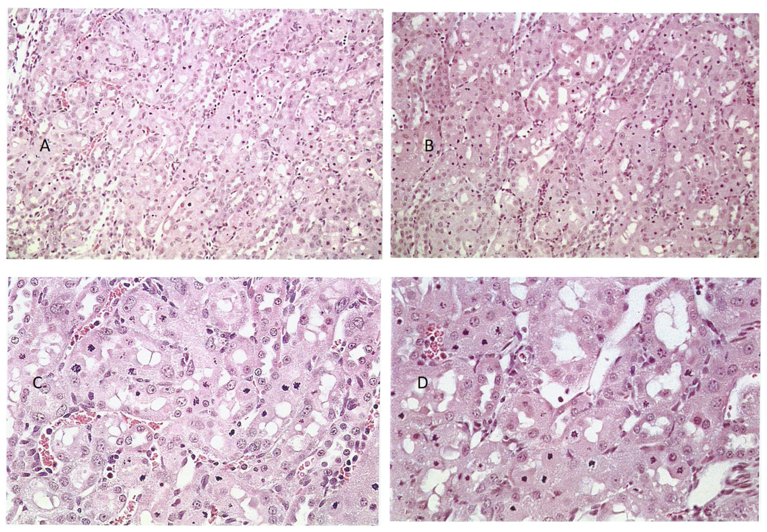 Life 12 00352 g003 550