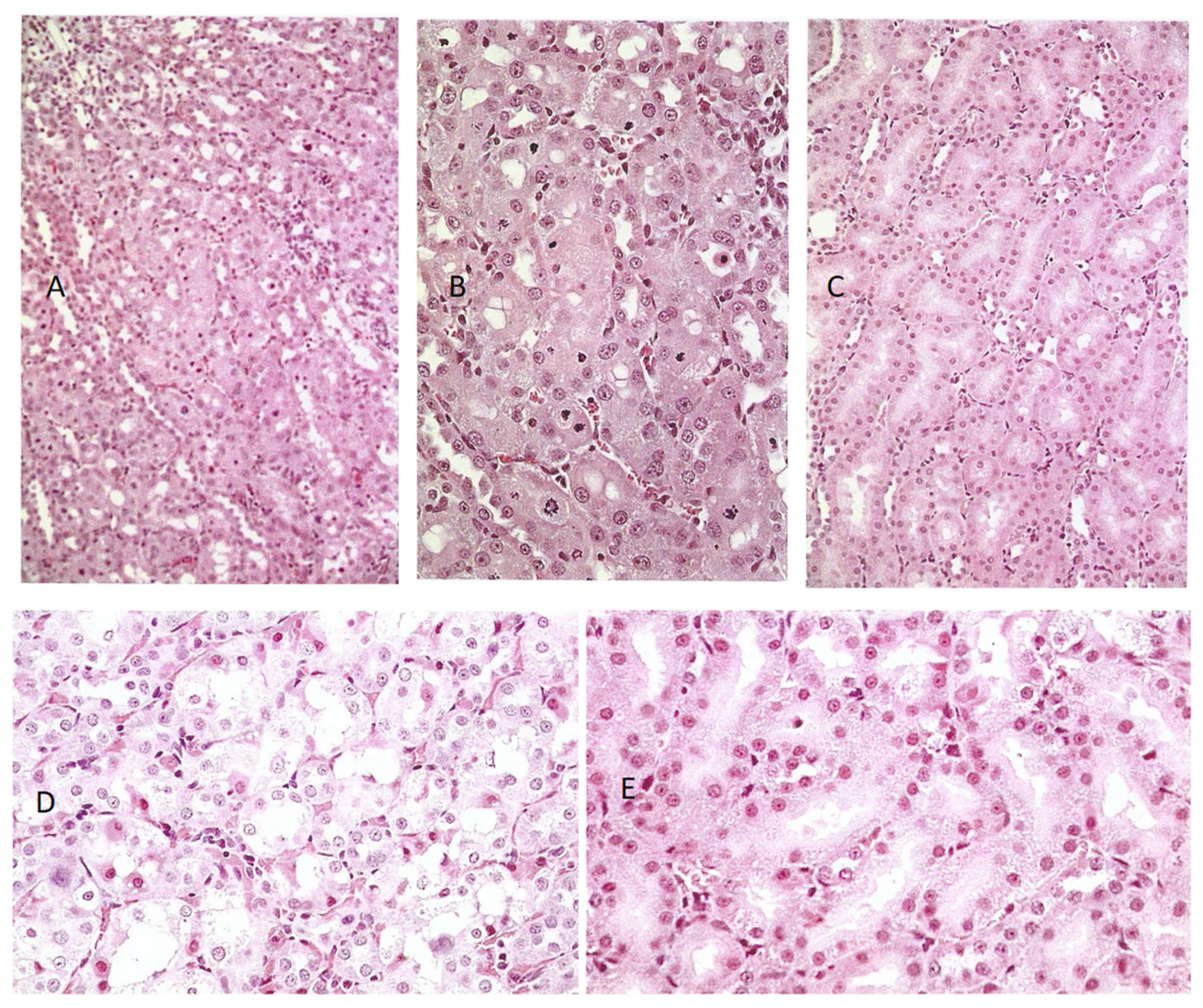 Life 12 00352 g004 550