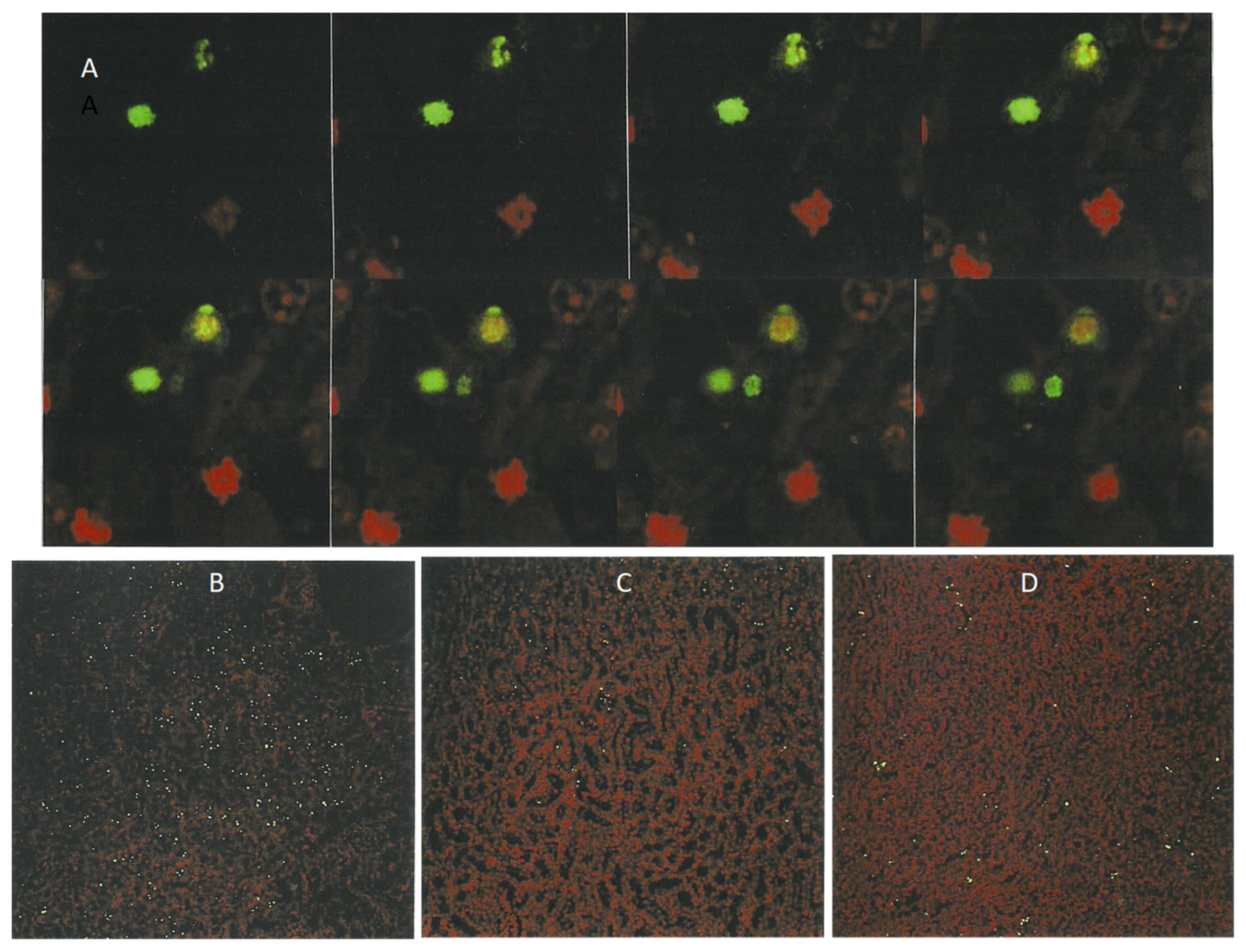 Life 12 00352 g007 550
