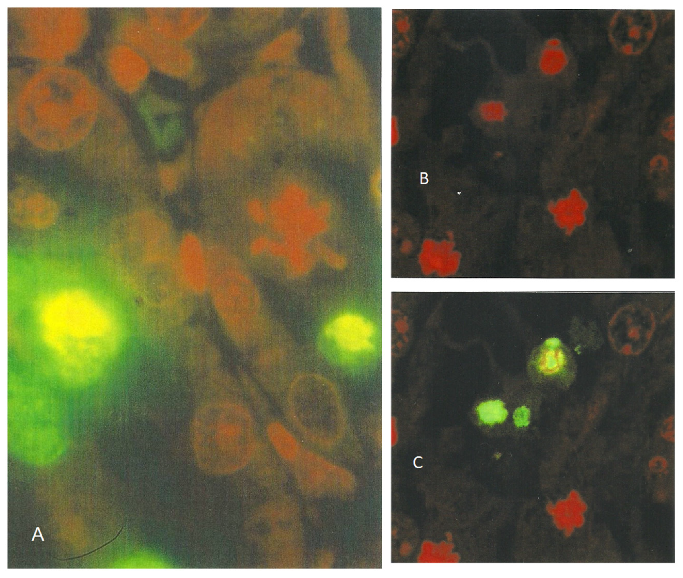 Life 12 00352 g008 550