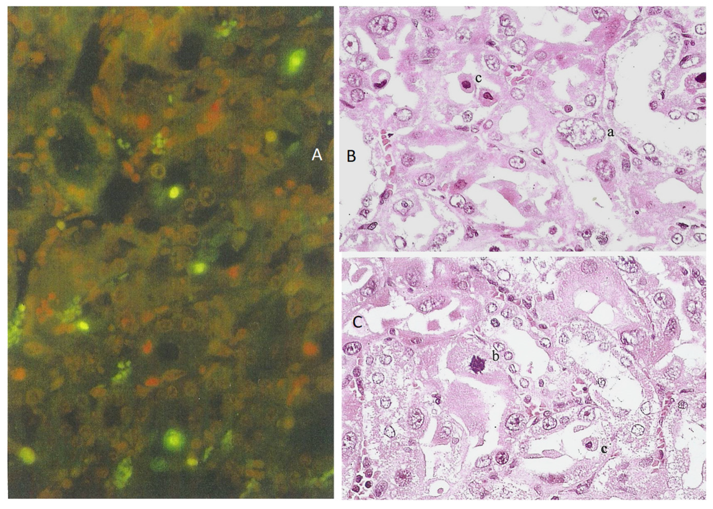 Life 12 00352 g009 550