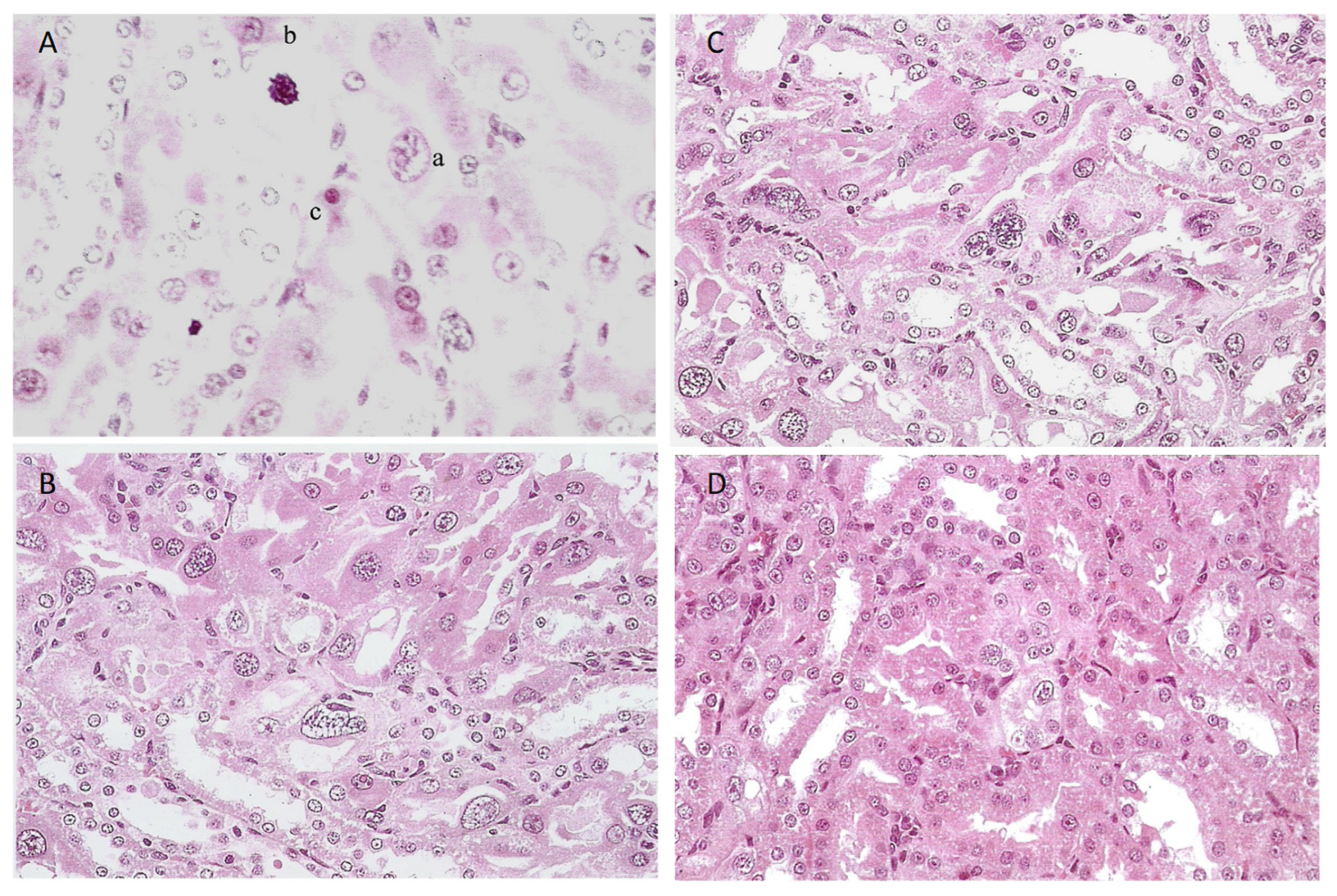 Life 12 00352 g010 550