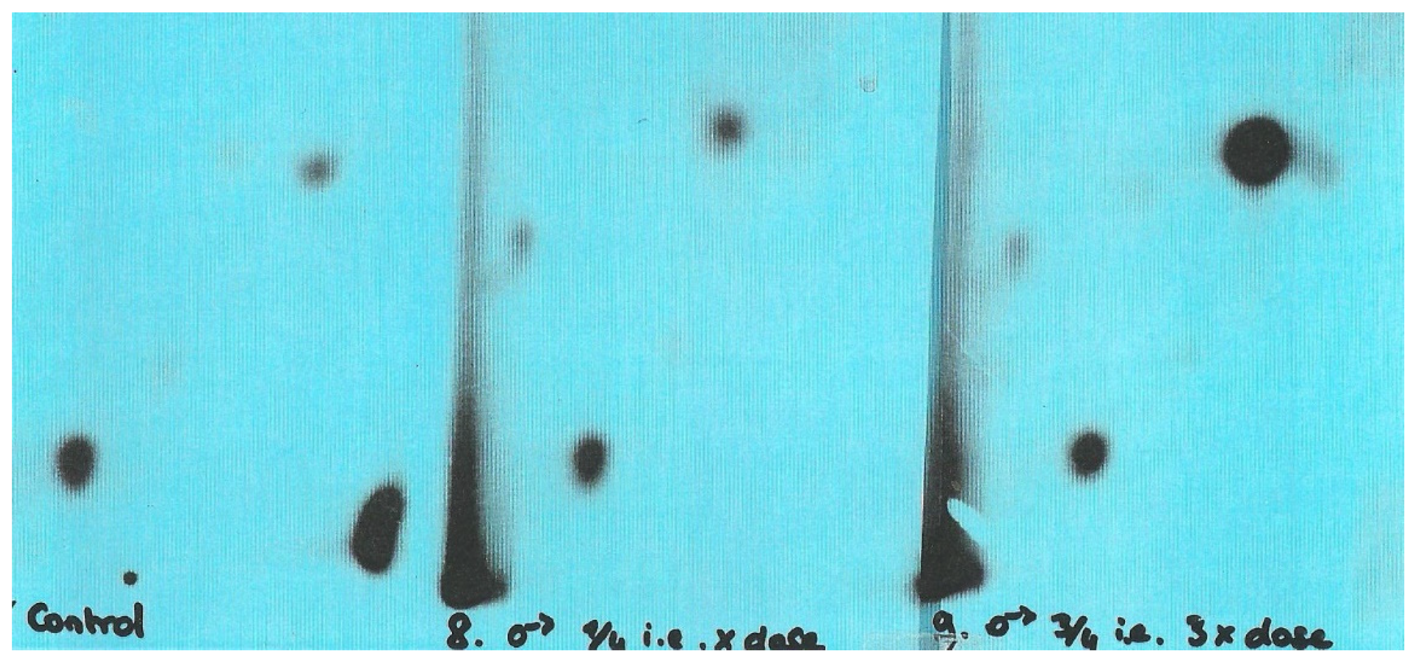 Life 12 00352 g011 550