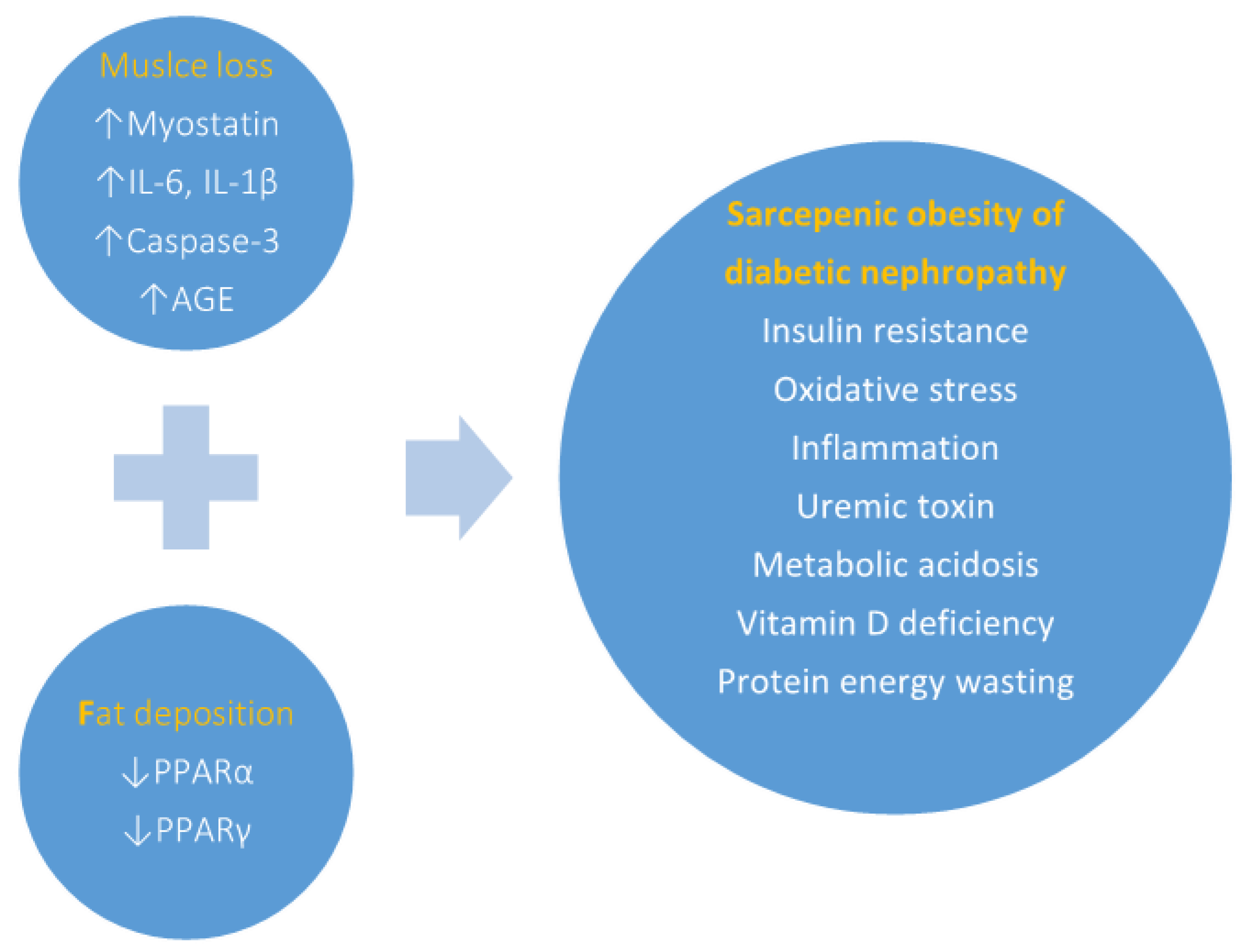 Life 12 00380 g001 Life 12 00380 g001