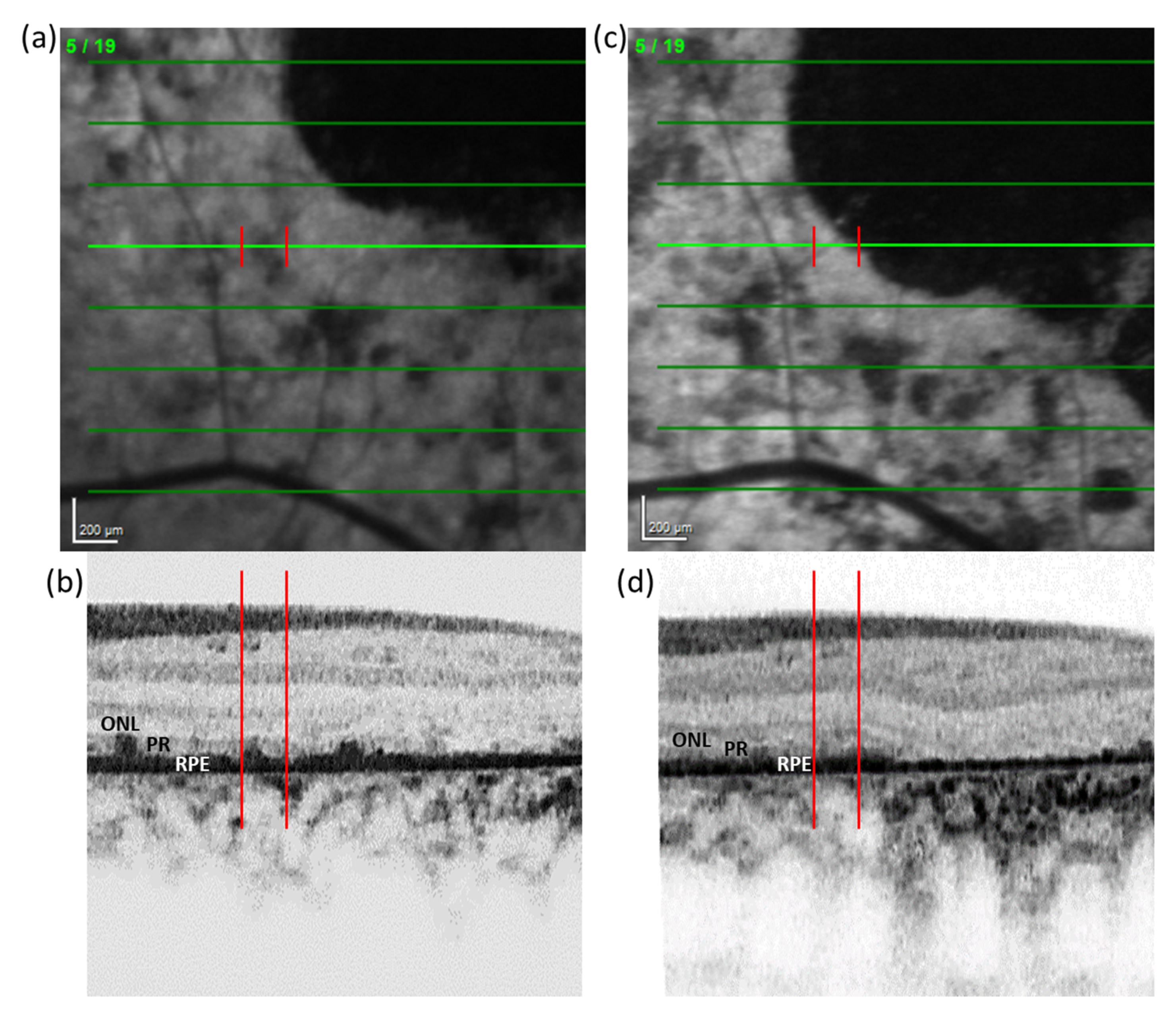 Life 12 00381 g004 550