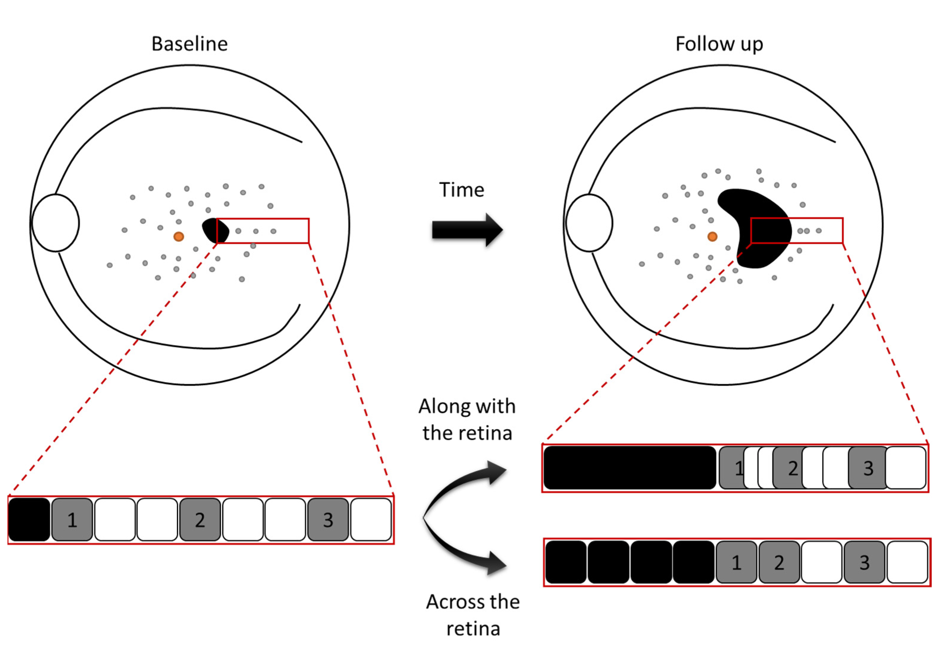 Life 12 00381 g005 550