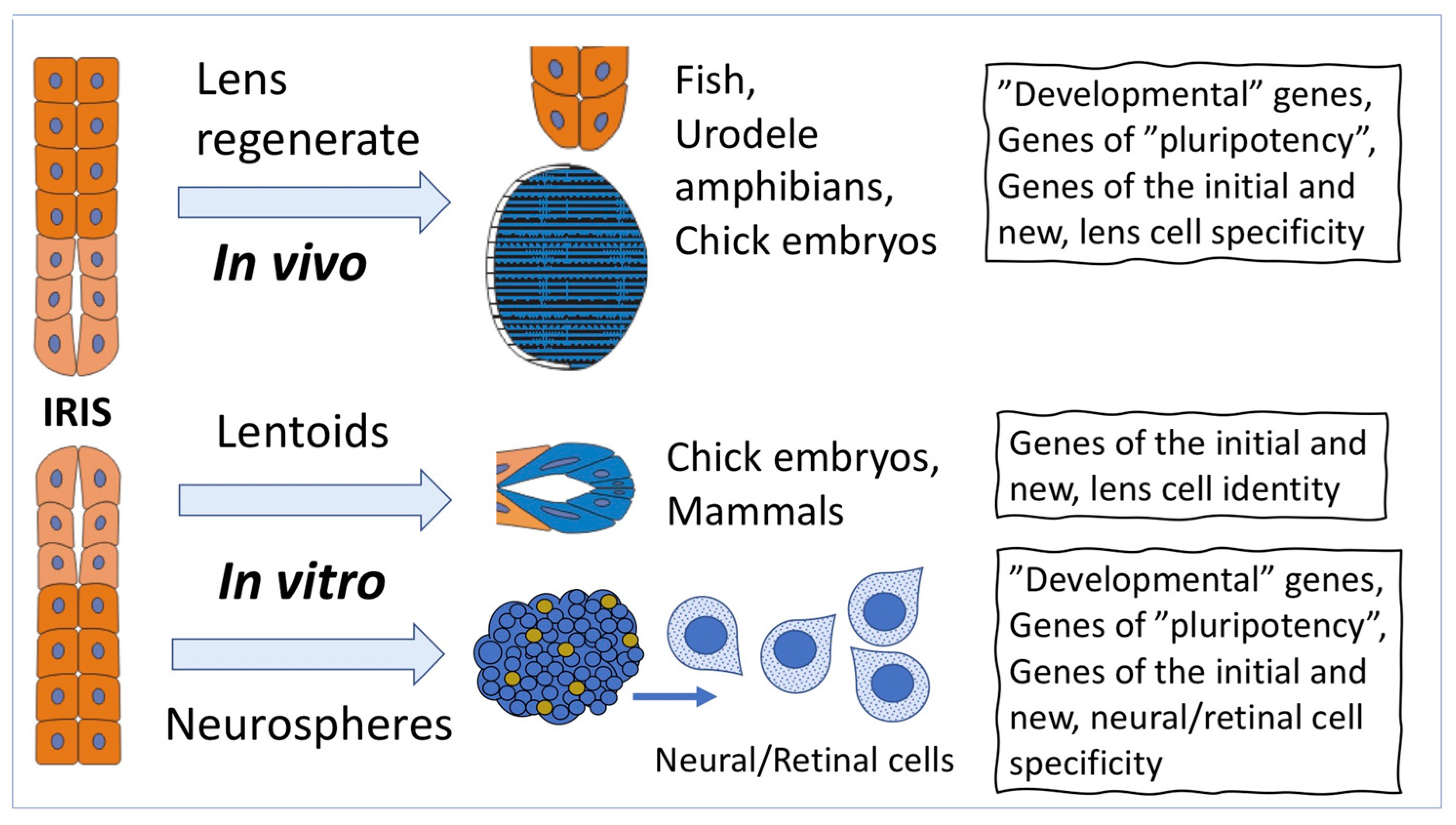 Life 12 00382 g002 Life 12 00382 g002