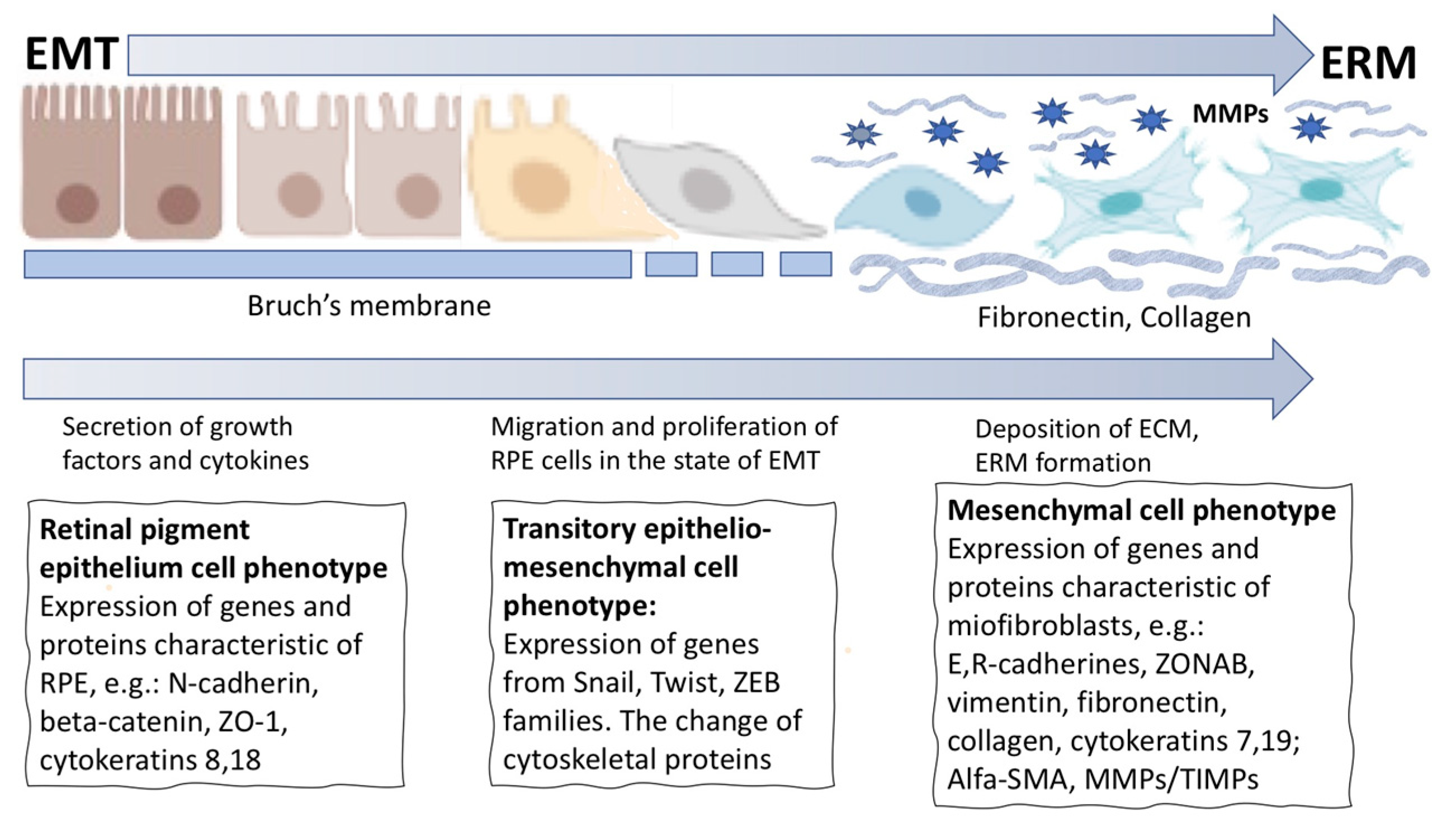 Life 12 00382 g005 Life 12 00382 g005