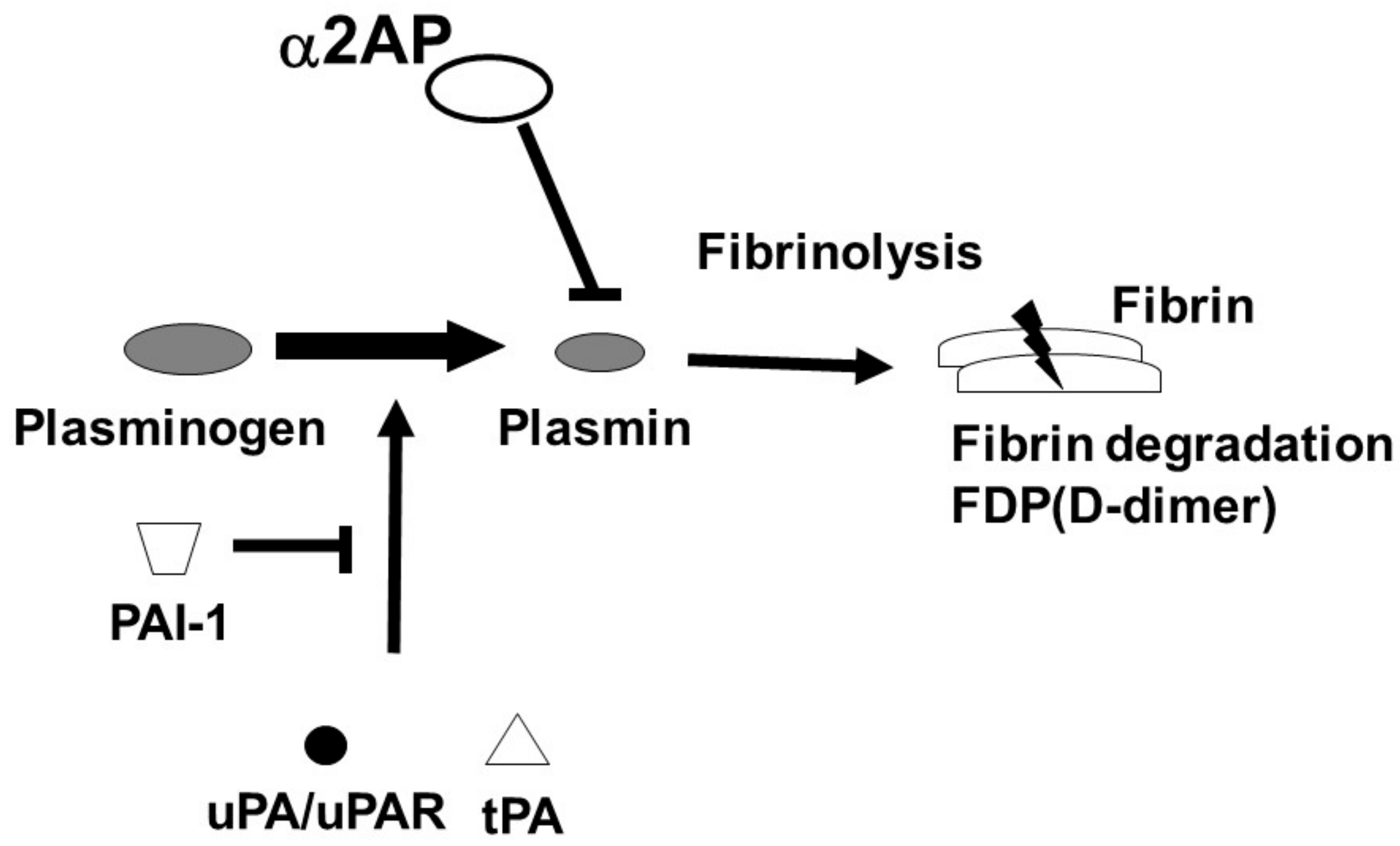 Life 12 00396 g001 Life 12 00396 g001