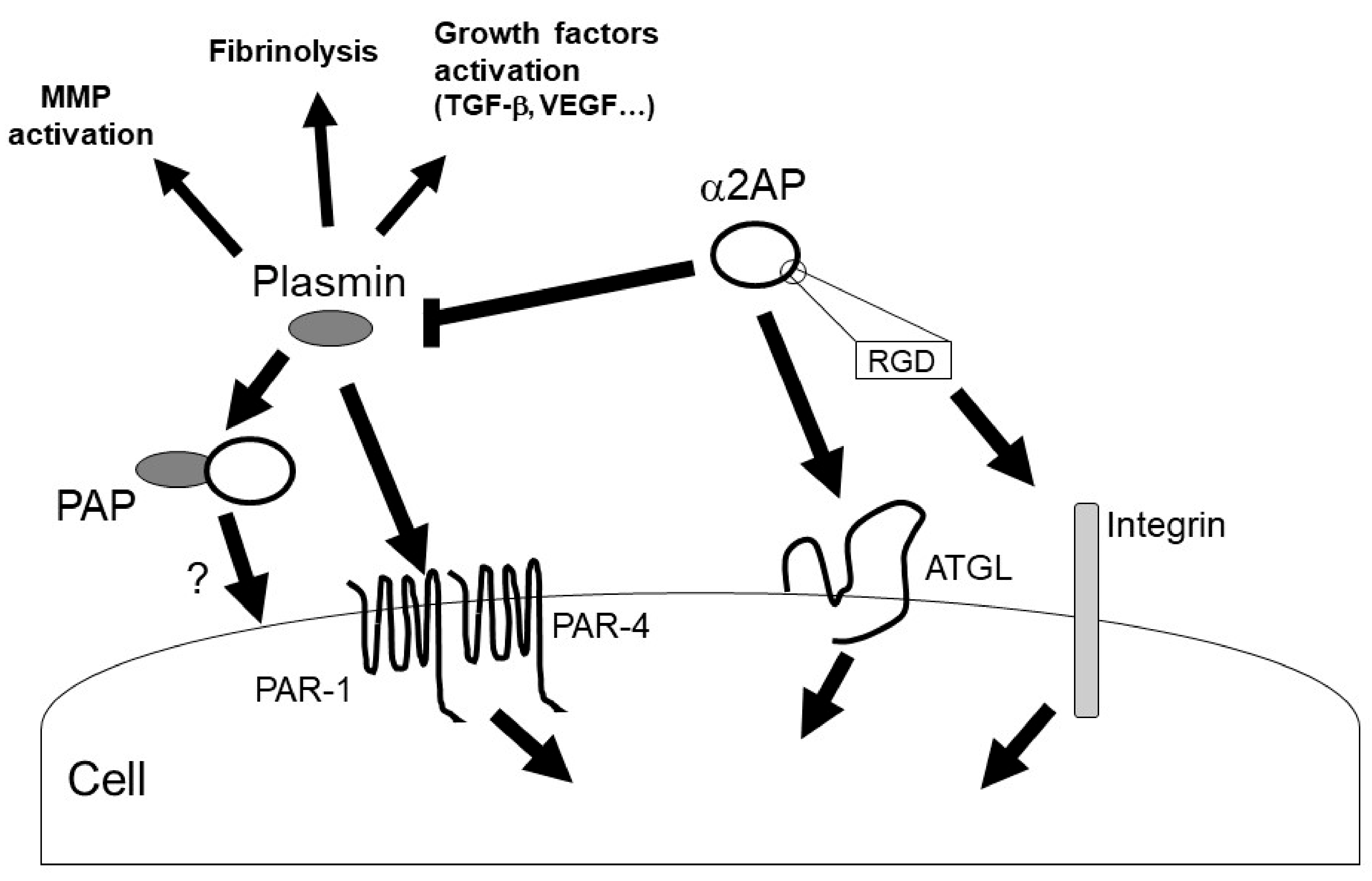 Life 12 00396 g004 Life 12 00396 g004
