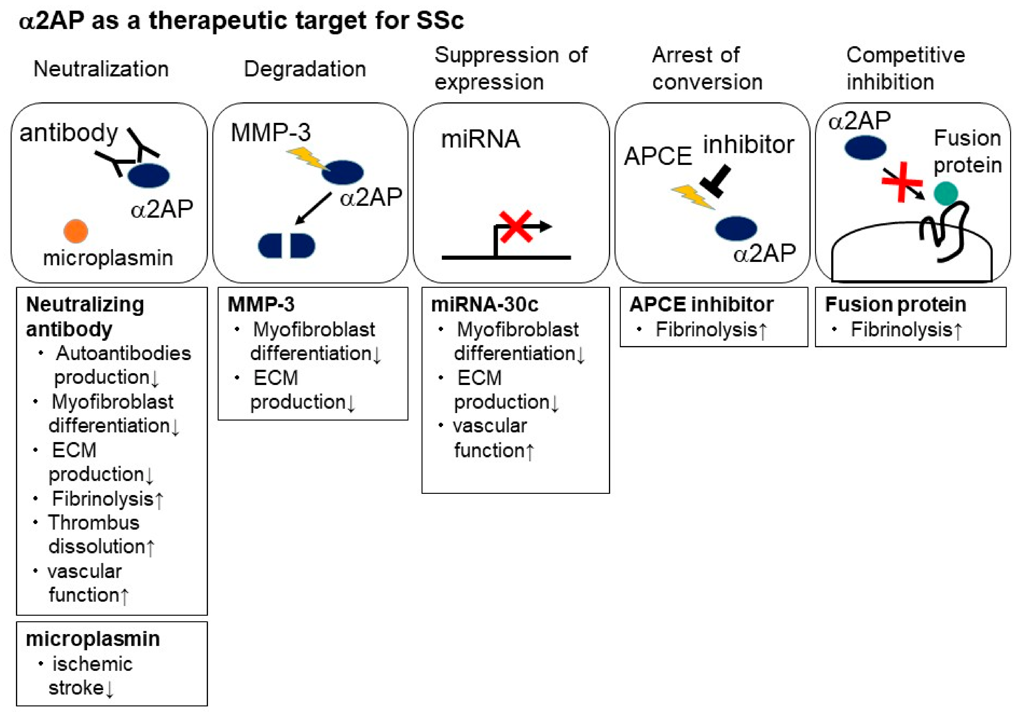 Life 12 00396 g005 Life 12 00396 g005