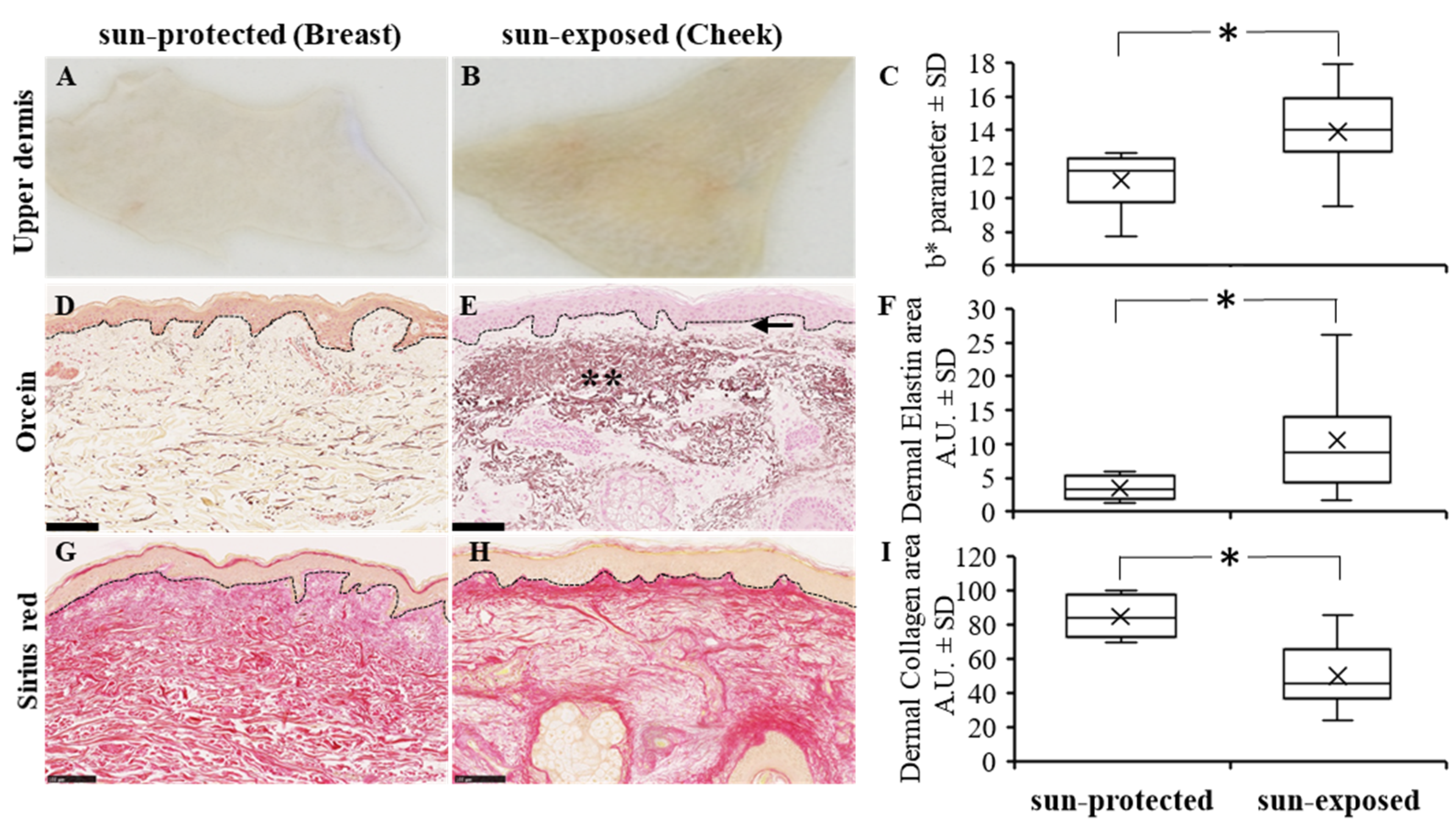 Life 12 00403 g003 550