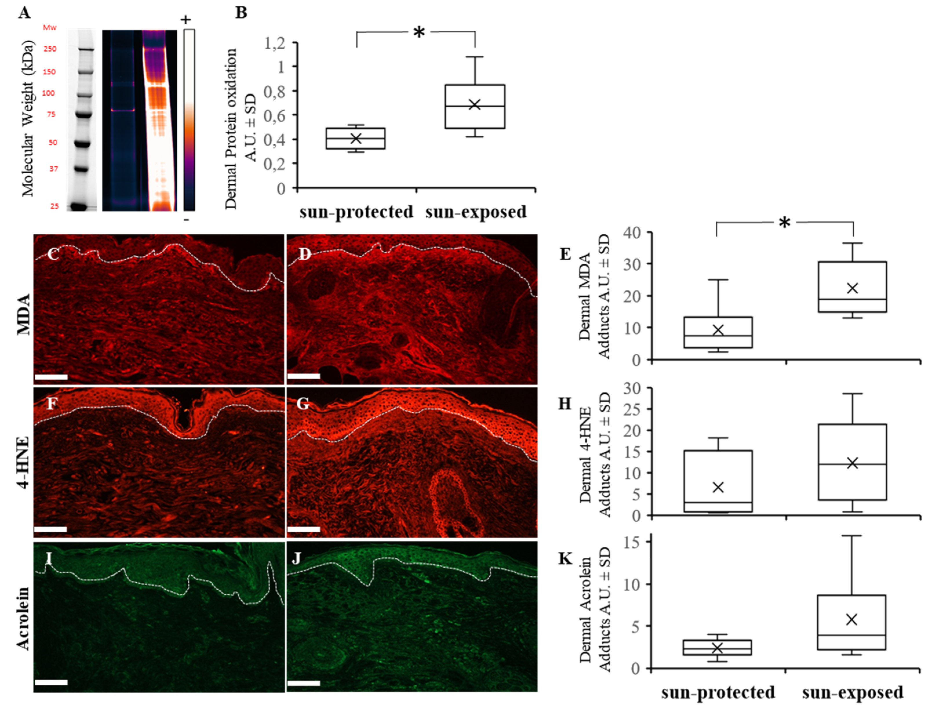 Life 12 00403 g004 550
