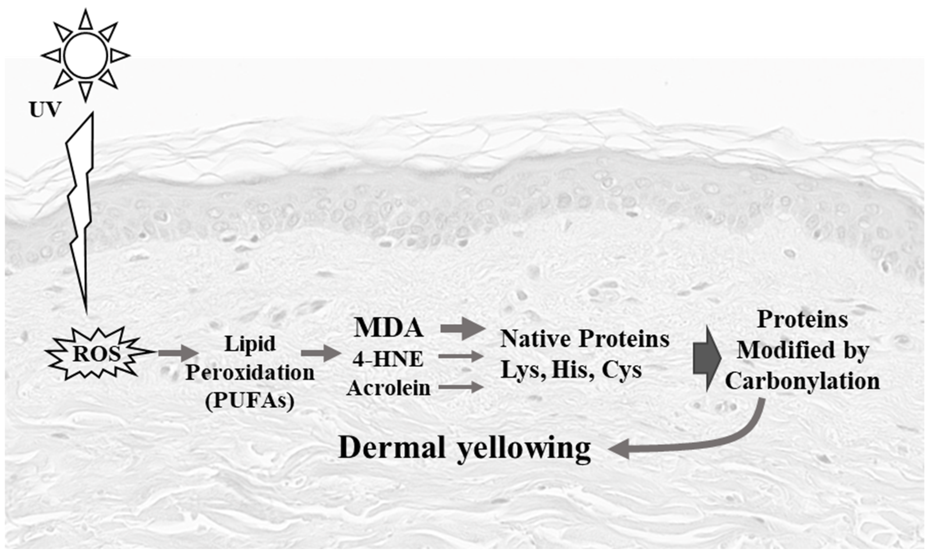 Life 12 00403 g006 550