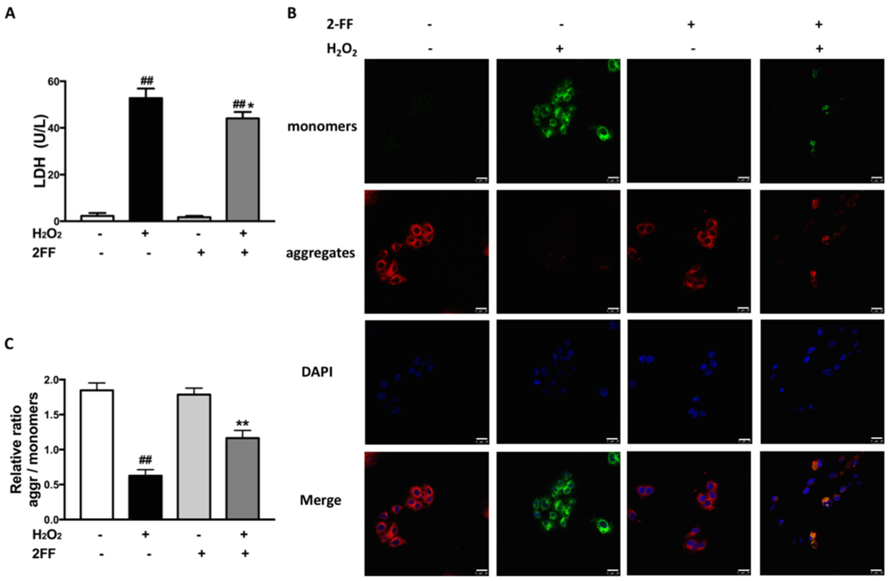 Life 12 00406 g002 Life 12 00406 g002