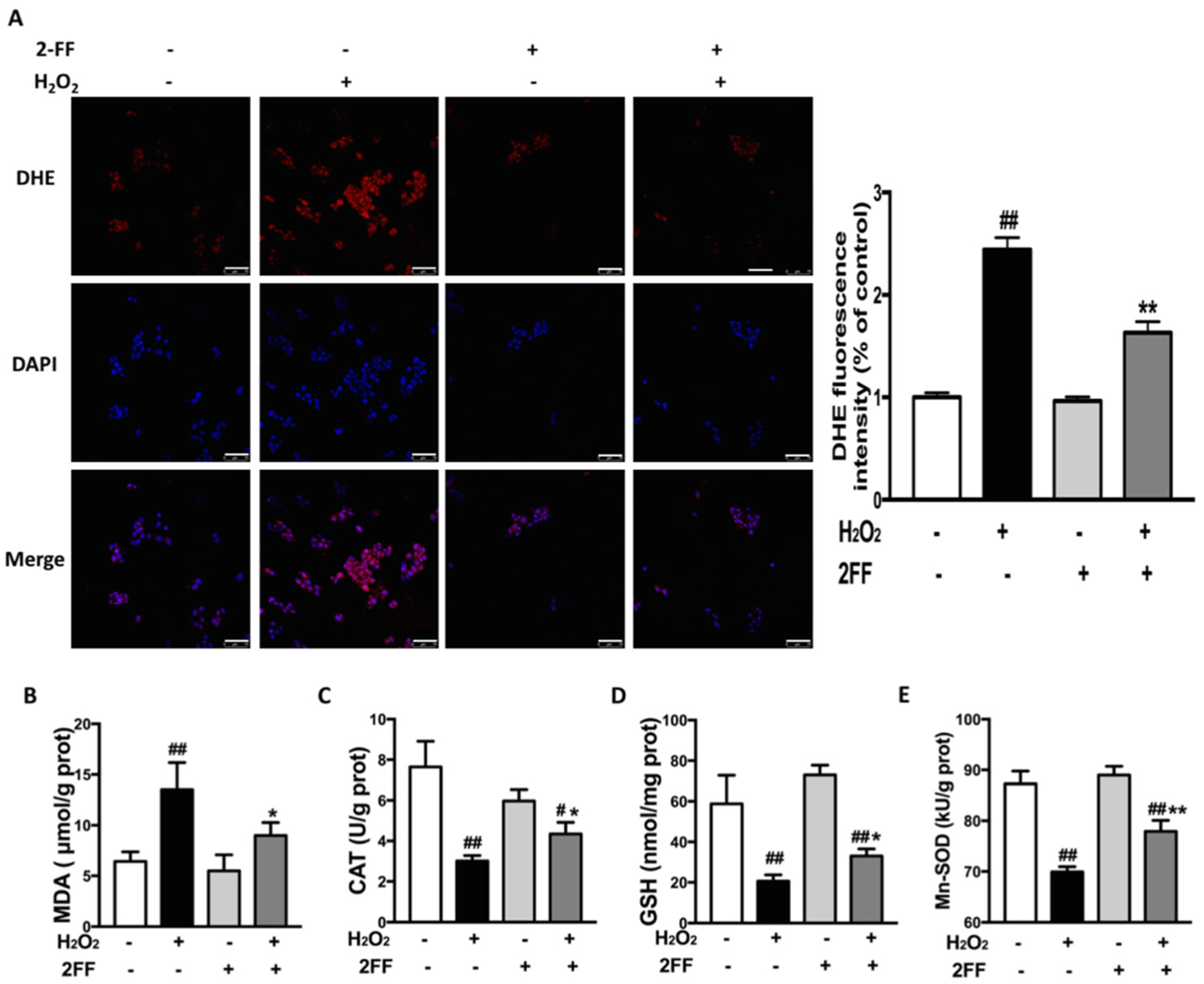 Life 12 00406 g003 Life 12 00406 g003