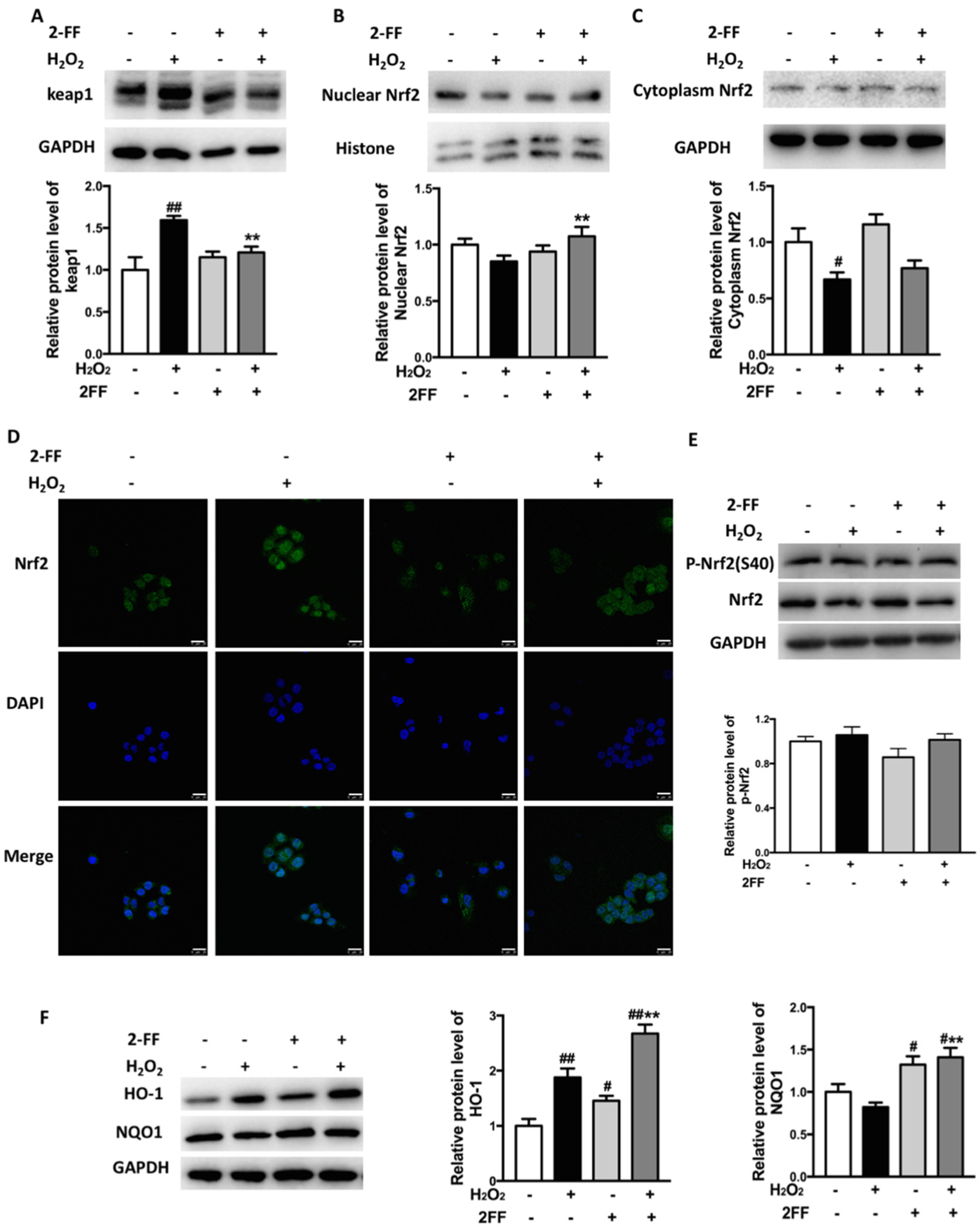 Life 12 00406 g004 Life 12 00406 g004