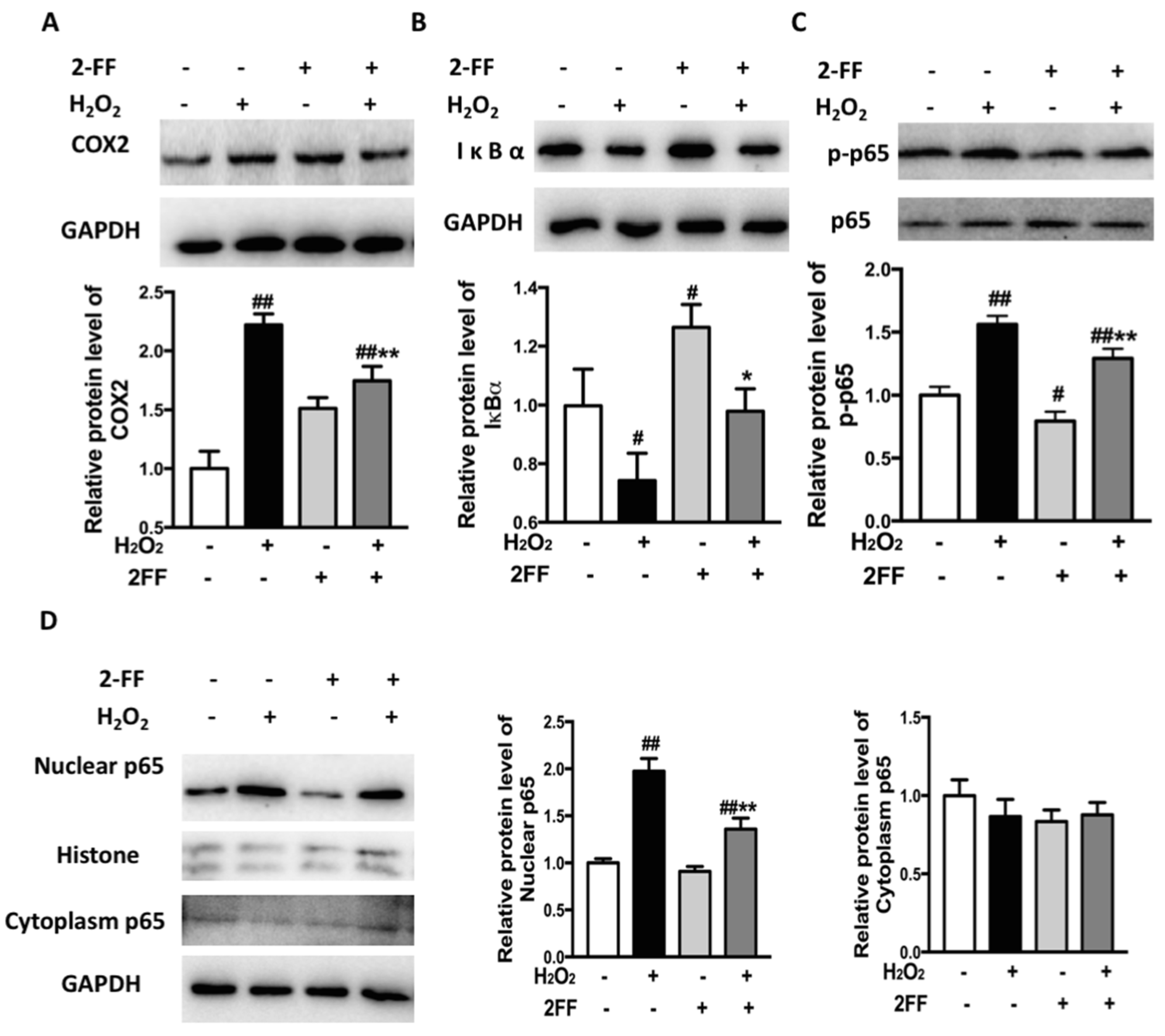 Life 12 00406 g006 Life 12 00406 g006