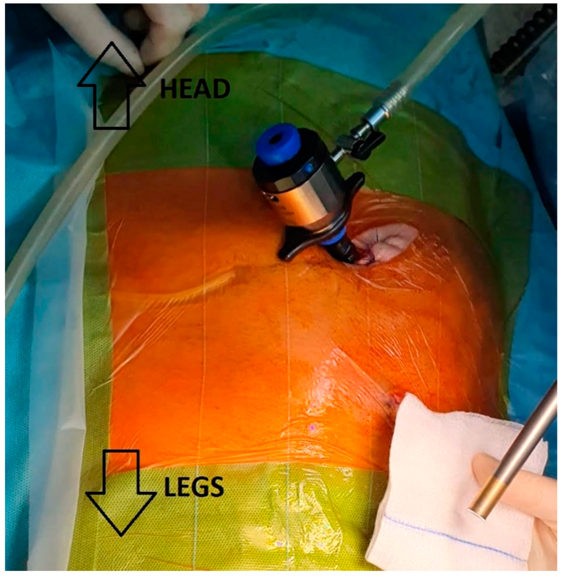 Life 12 00413 g002 550