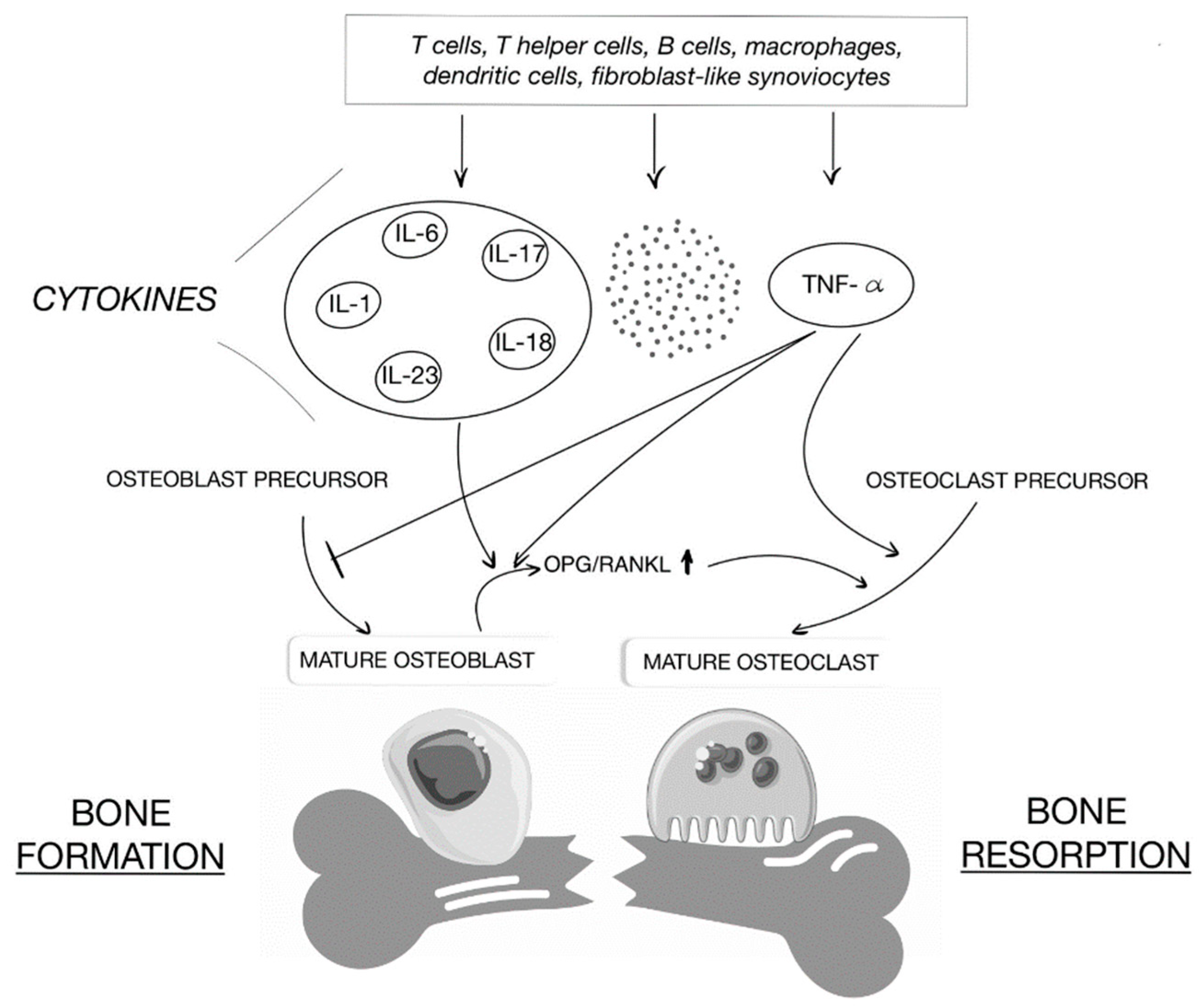 Life 12 00423 g002 Life 12 00423 g002
