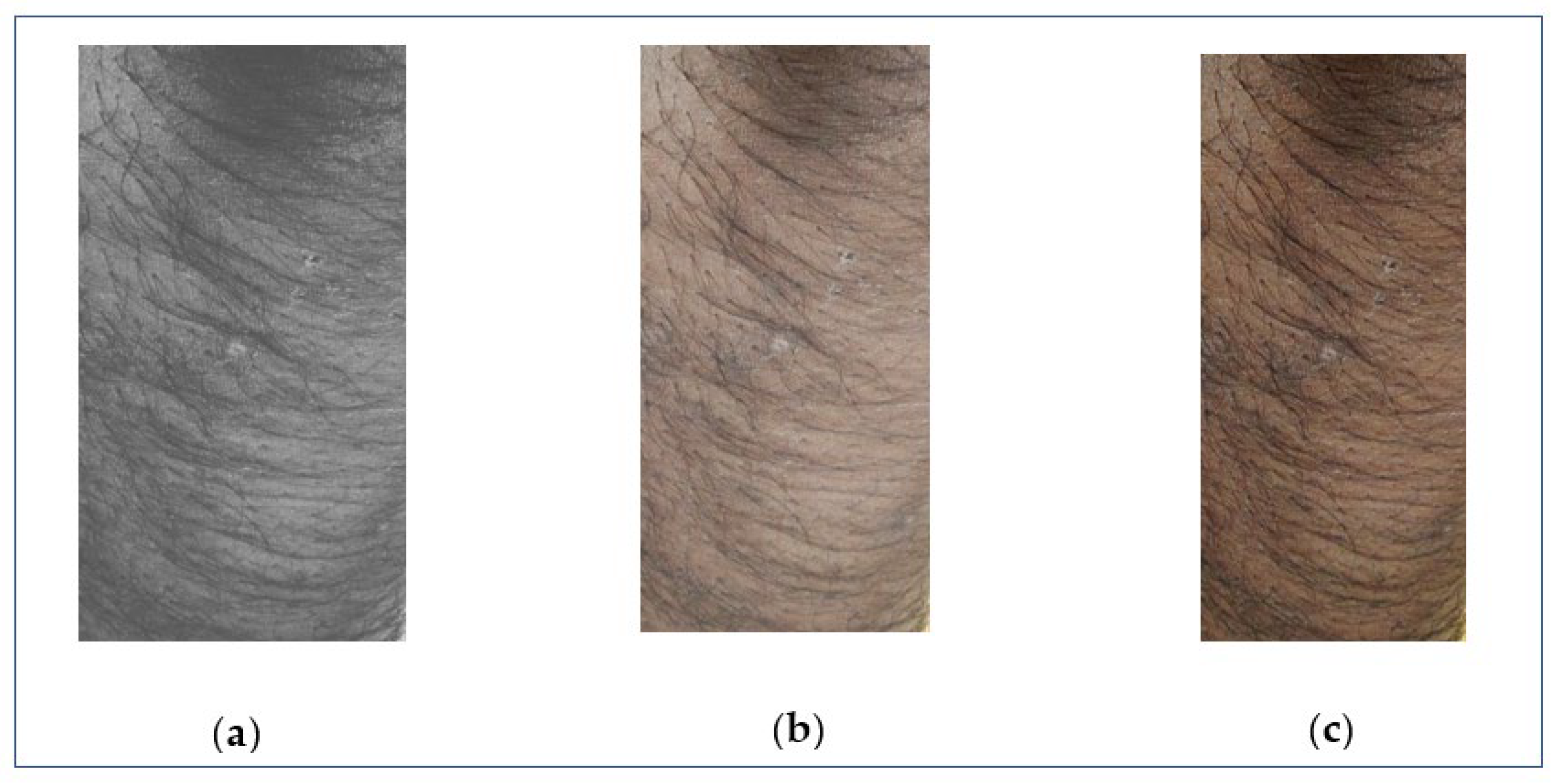 Life 12 00426 g009 550