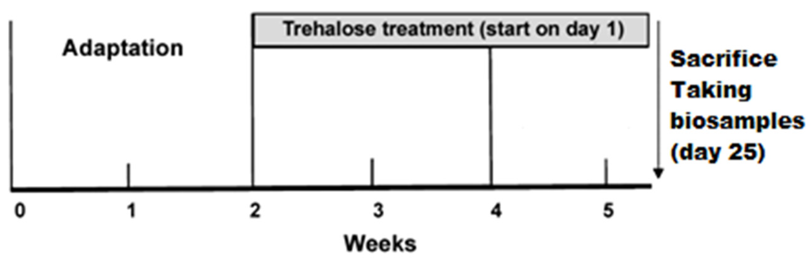 Life 12 00442 g001 550