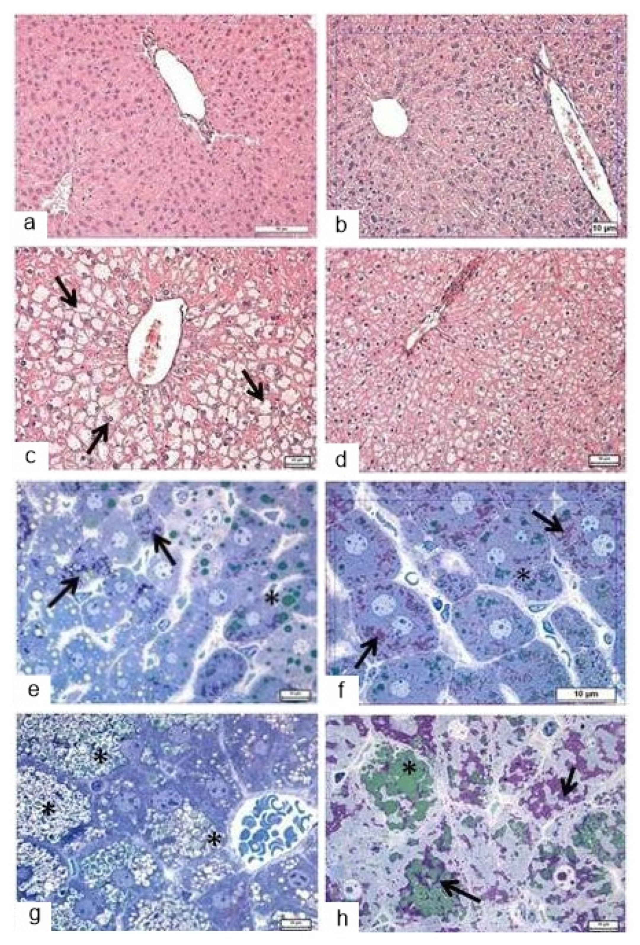 Life 12 00442 g009 550