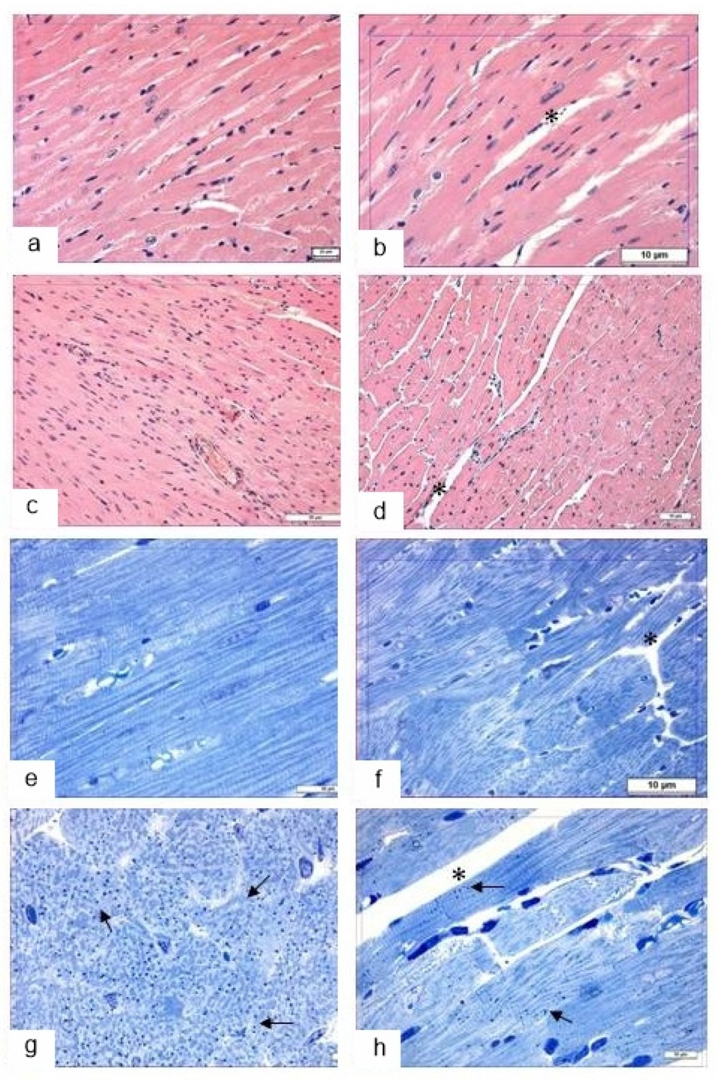Life 12 00442 g012 550
