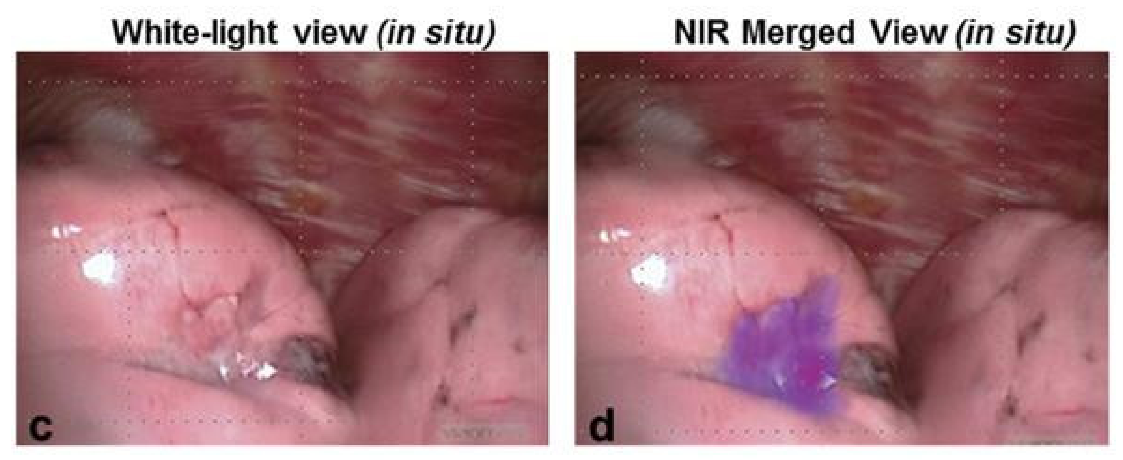 Life 12 00446 g003 Life 12 00446 g003