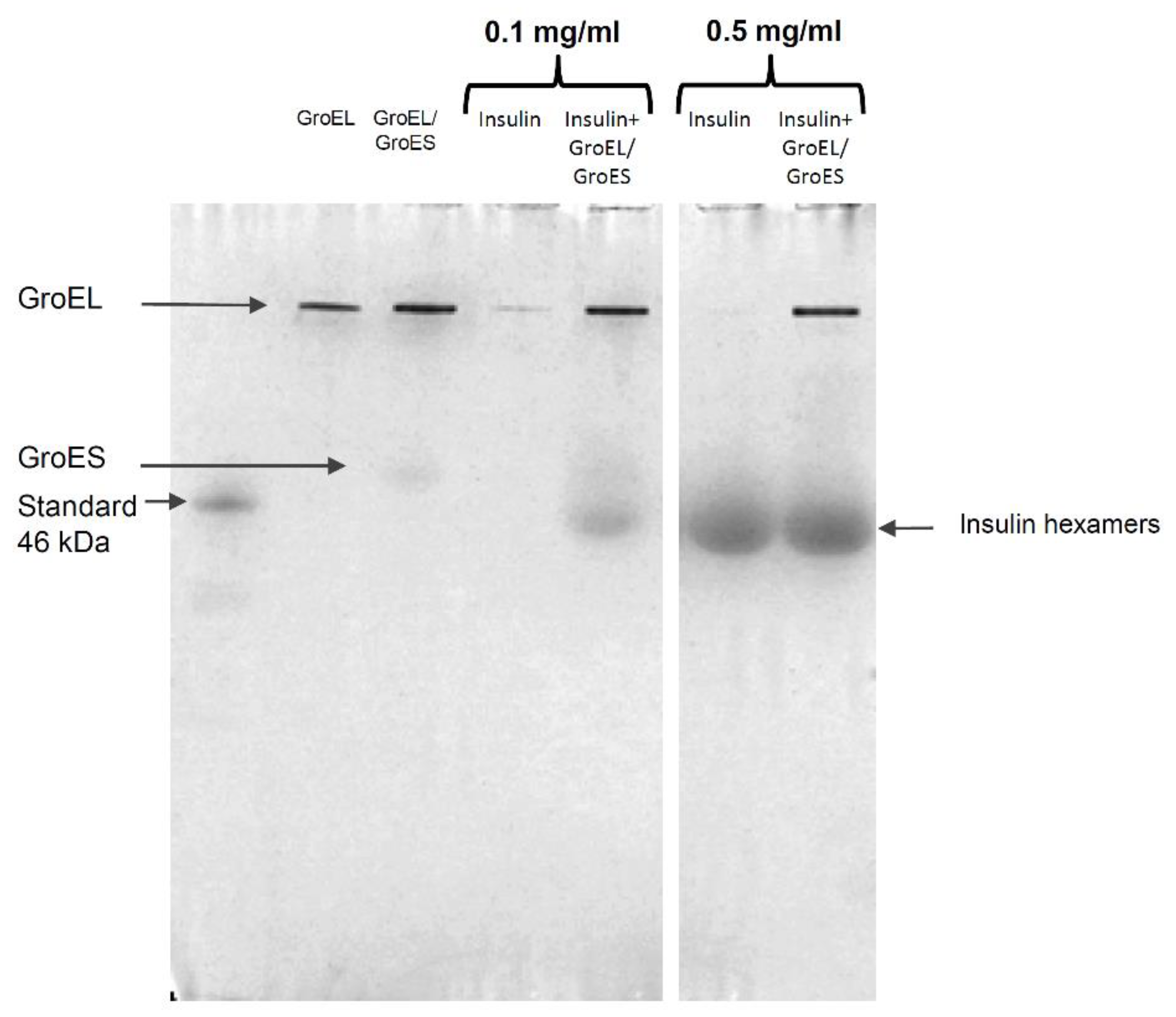 Life 12 00448 g004 550