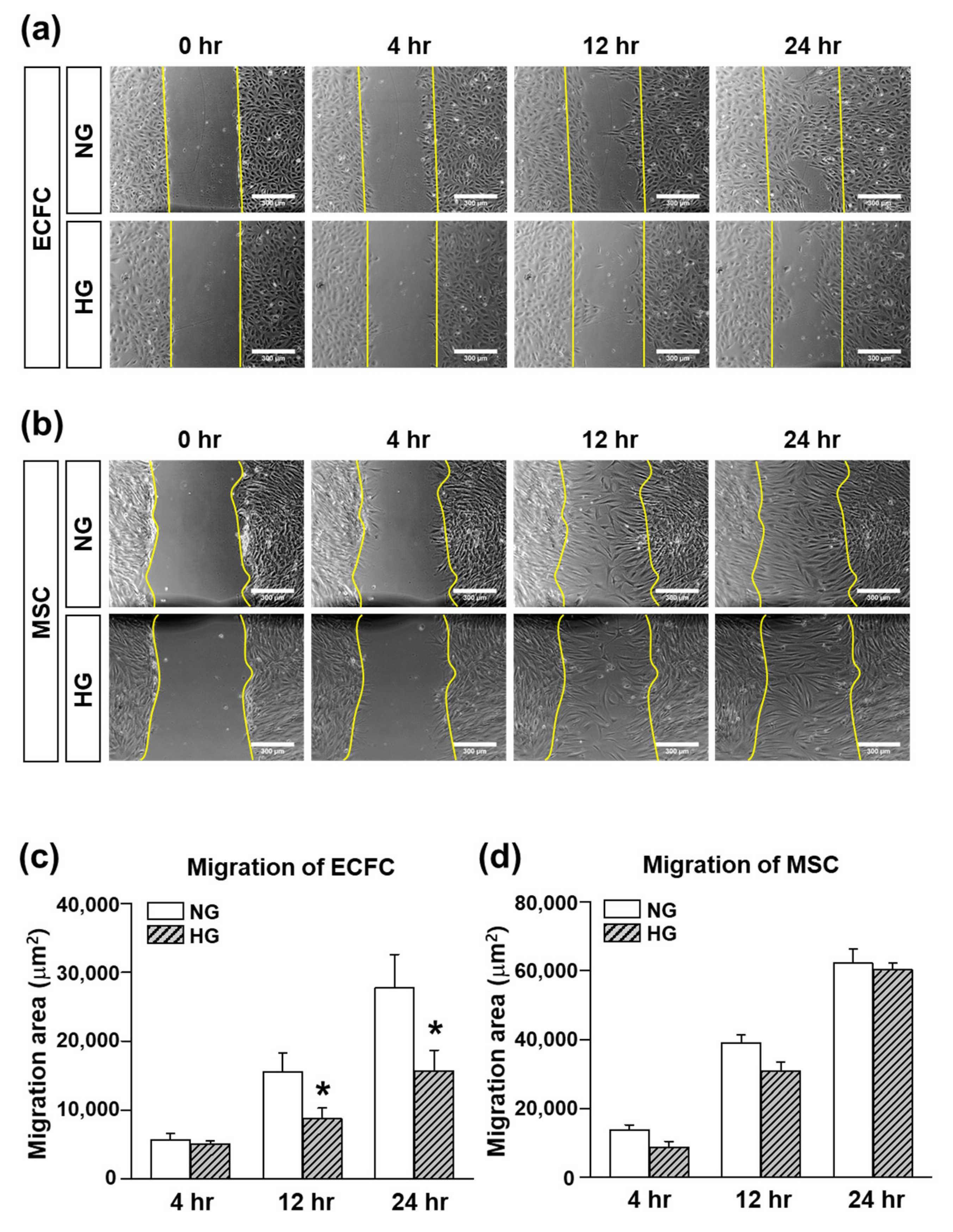 Life 12 00469 g003 550