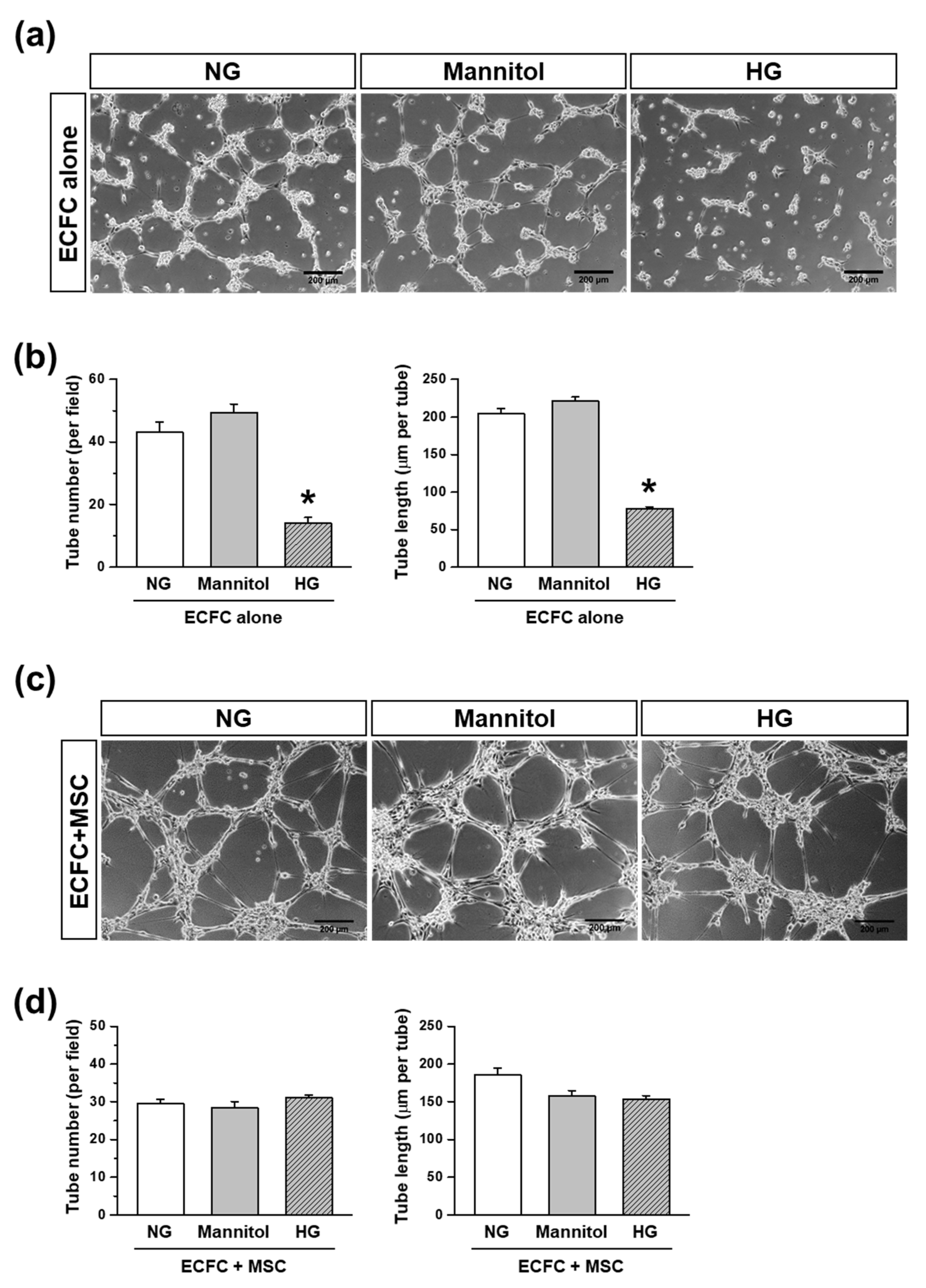 Life 12 00469 g004 550
