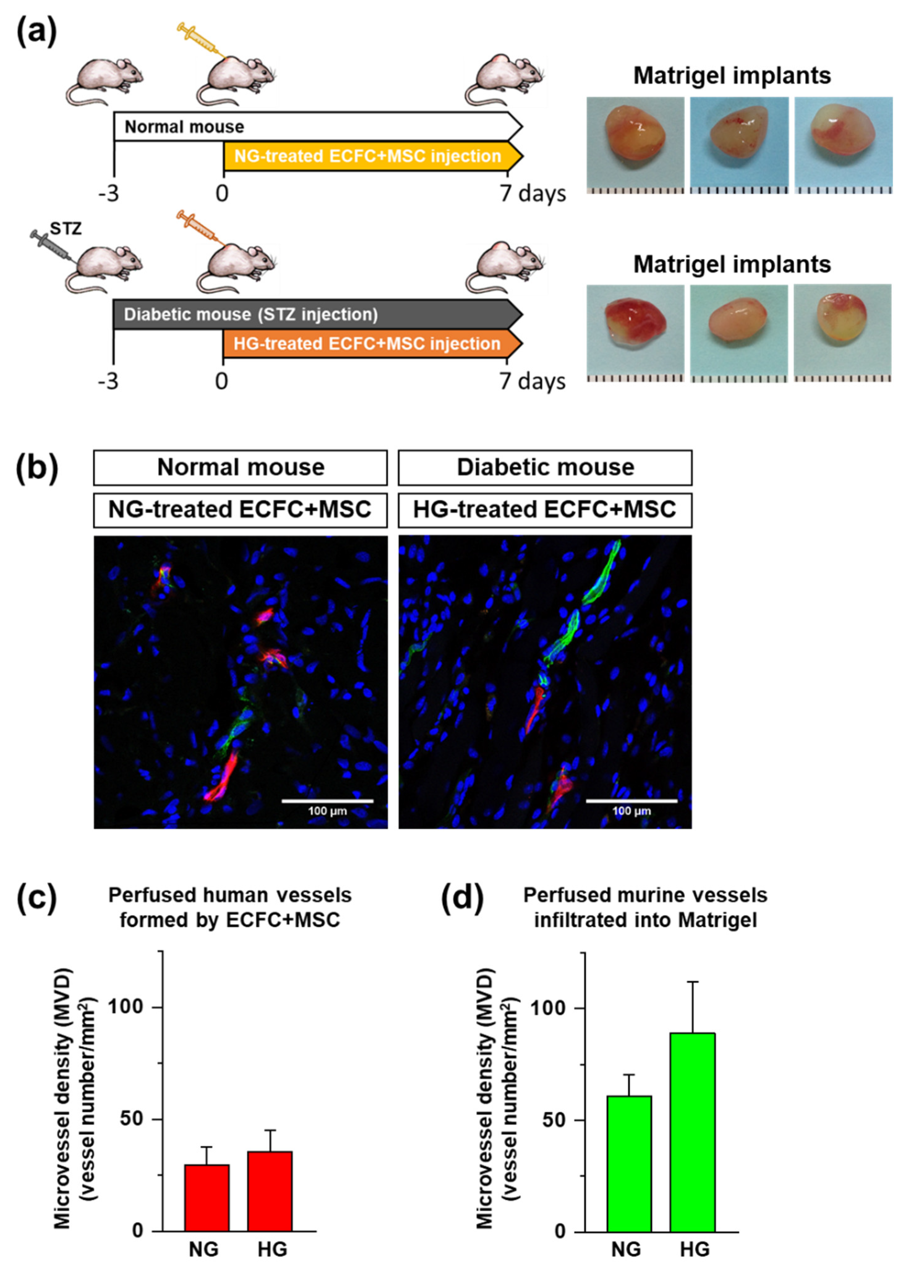 Life 12 00469 g005 550