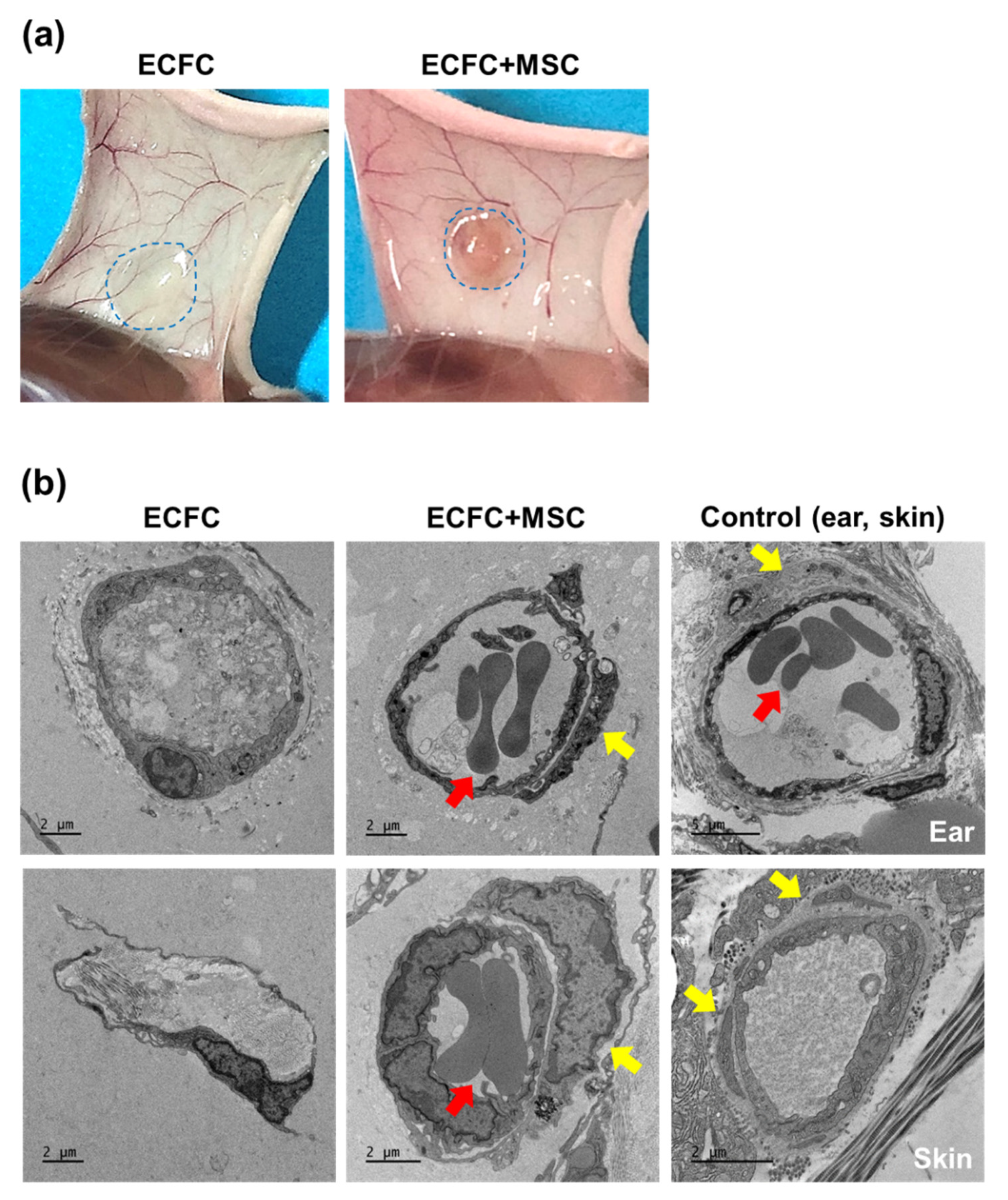 Life 12 00469 g006 550