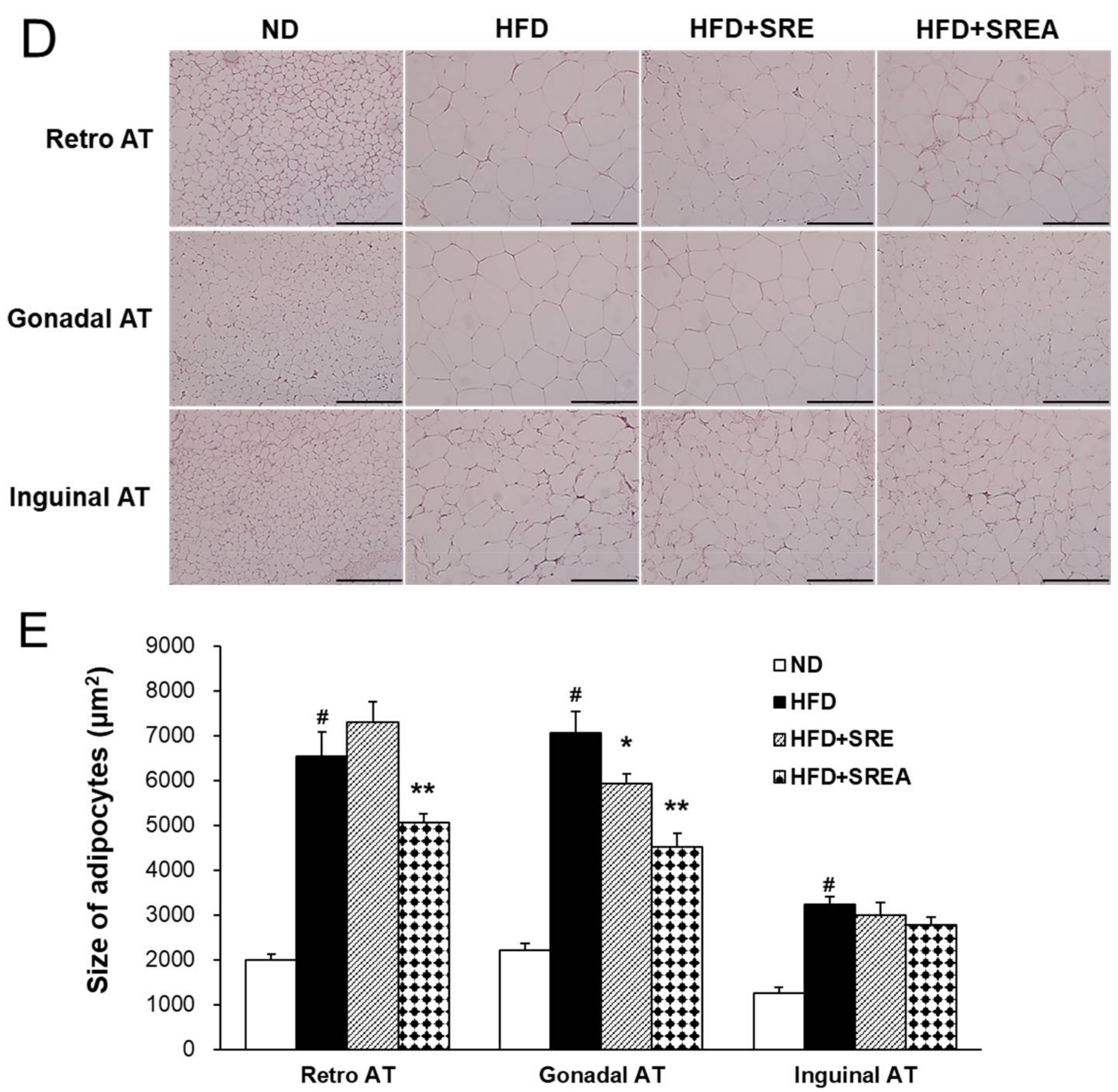Life 12 00472 g003b 550
