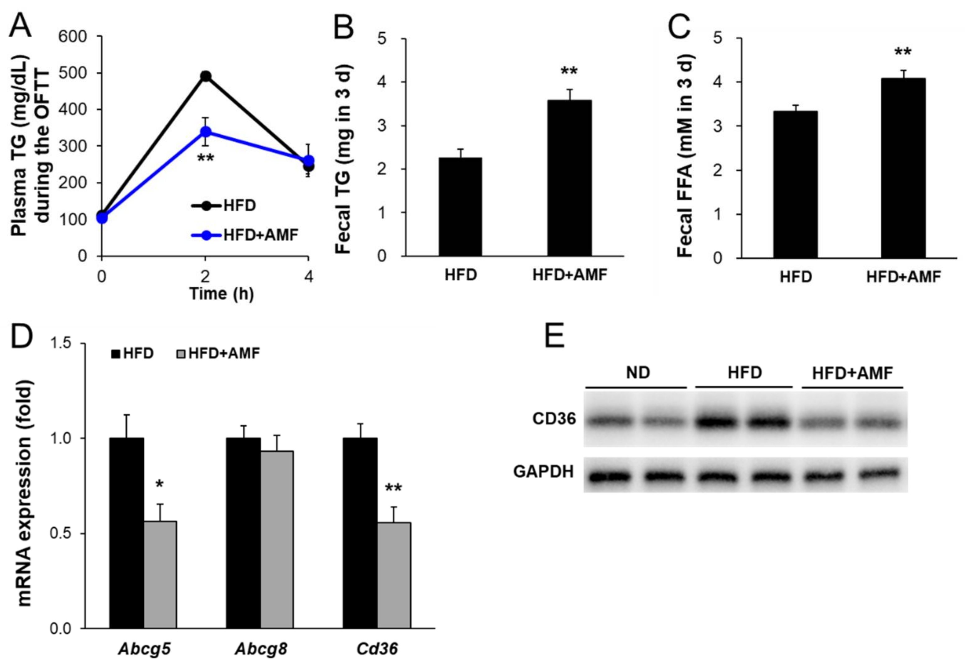 Life 12 00472 g007 550