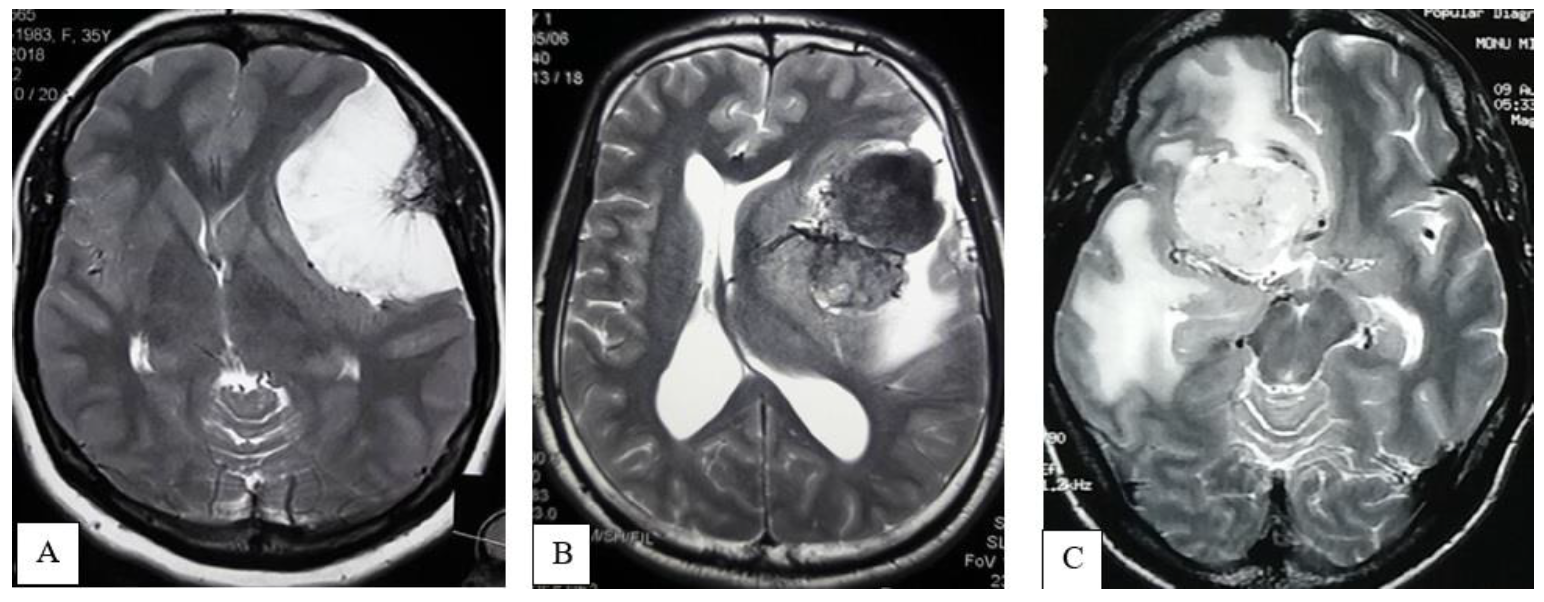 Life 12 00473 g002 550