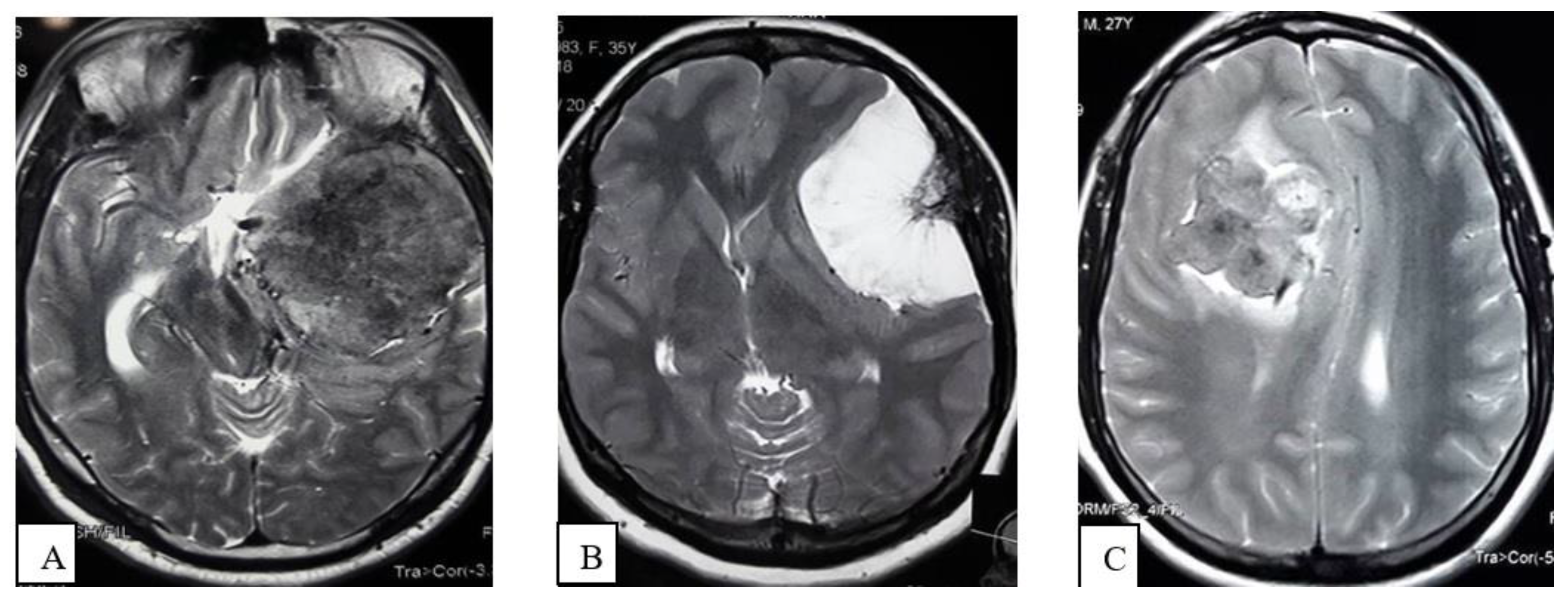 Life 12 00473 g003 550