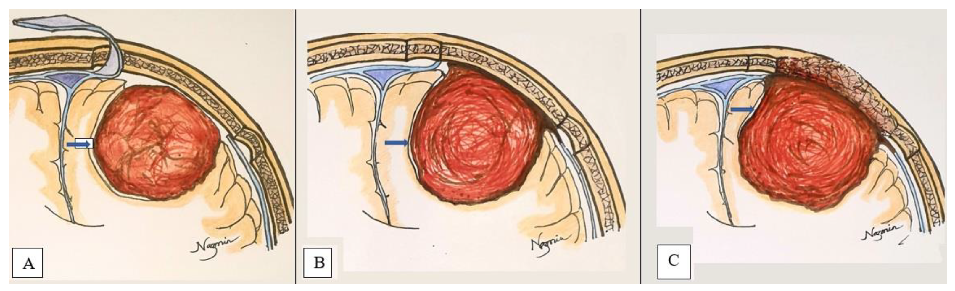 Life 12 00473 g004 550