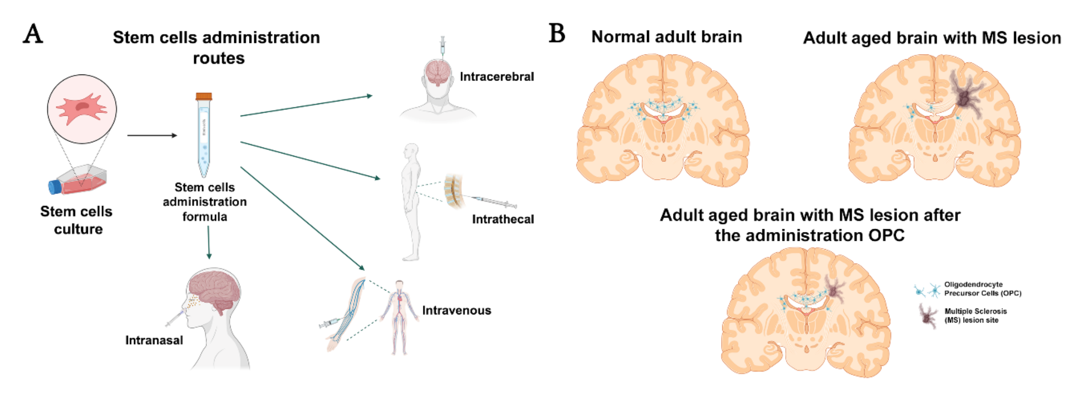 Life 12 00474 g001 550