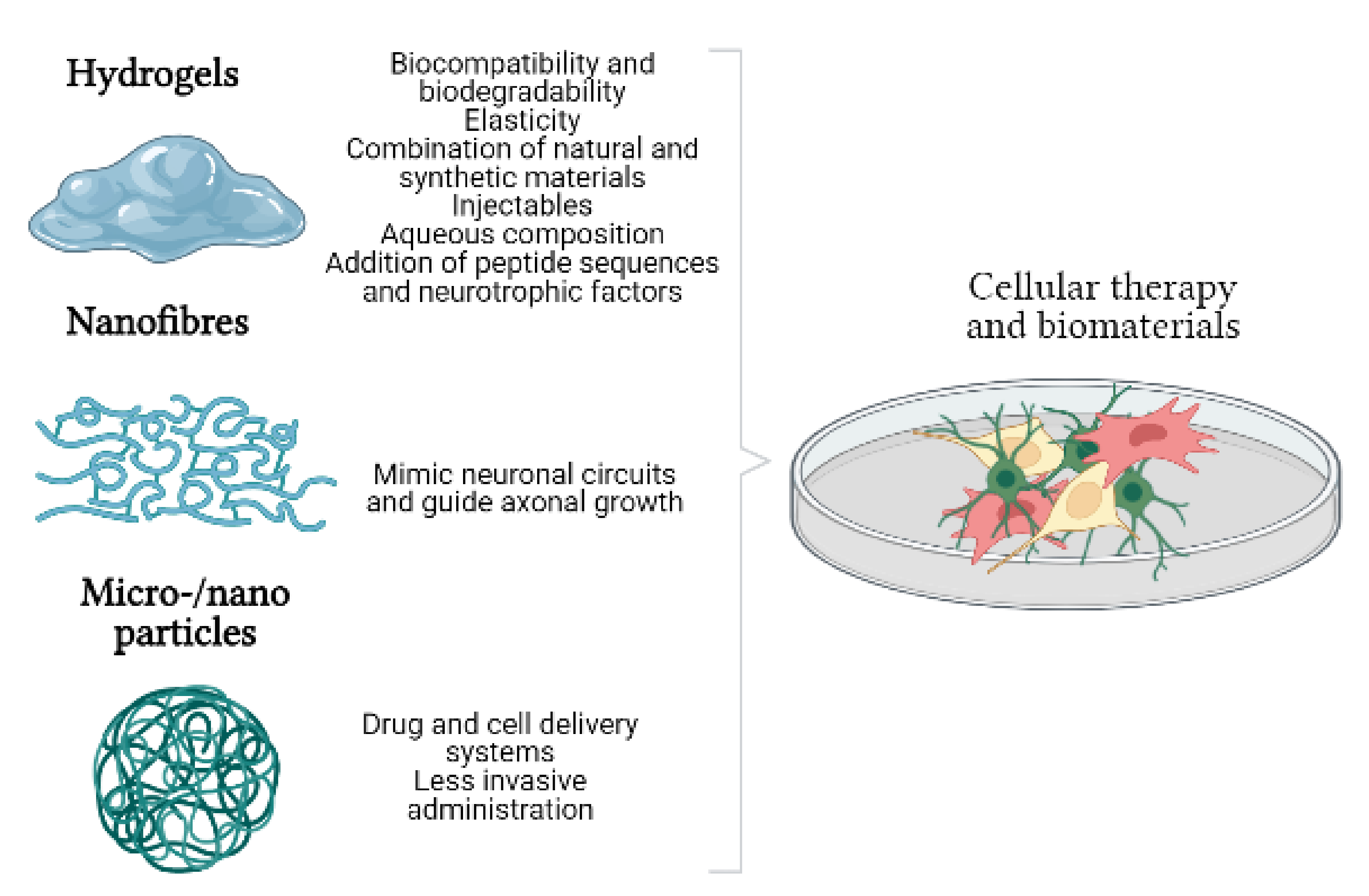 Life 12 00474 g002 550