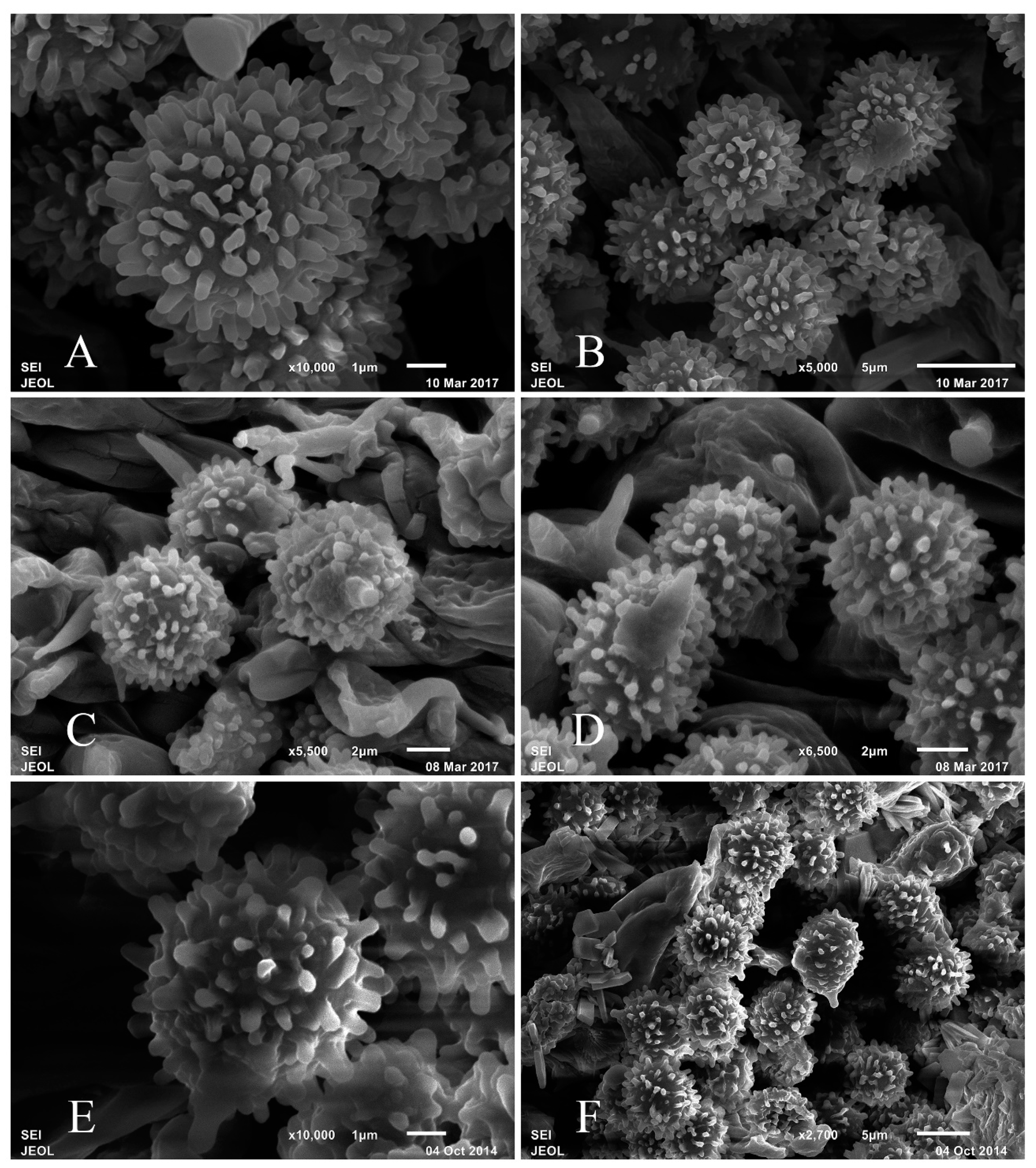 Life 12 00480 g004 550