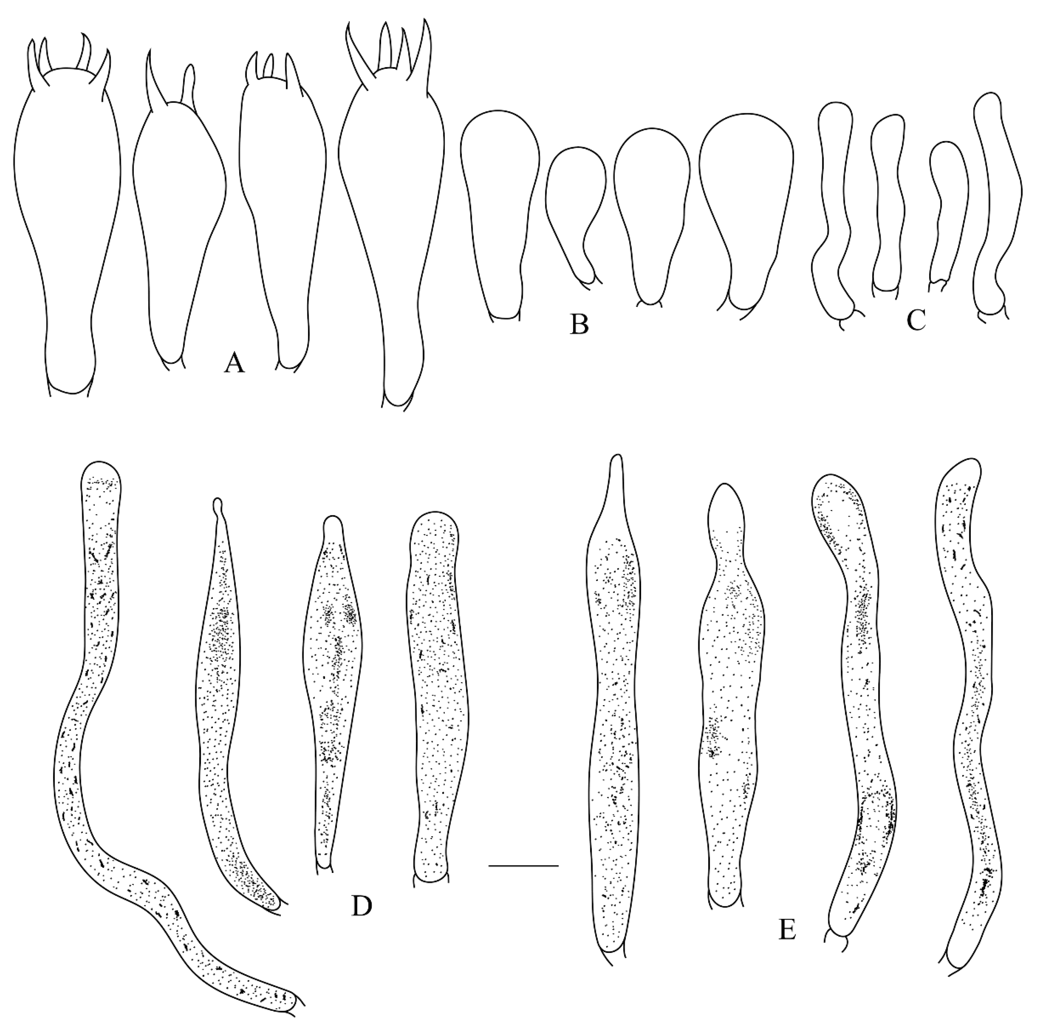 Life 12 00480 g005 550