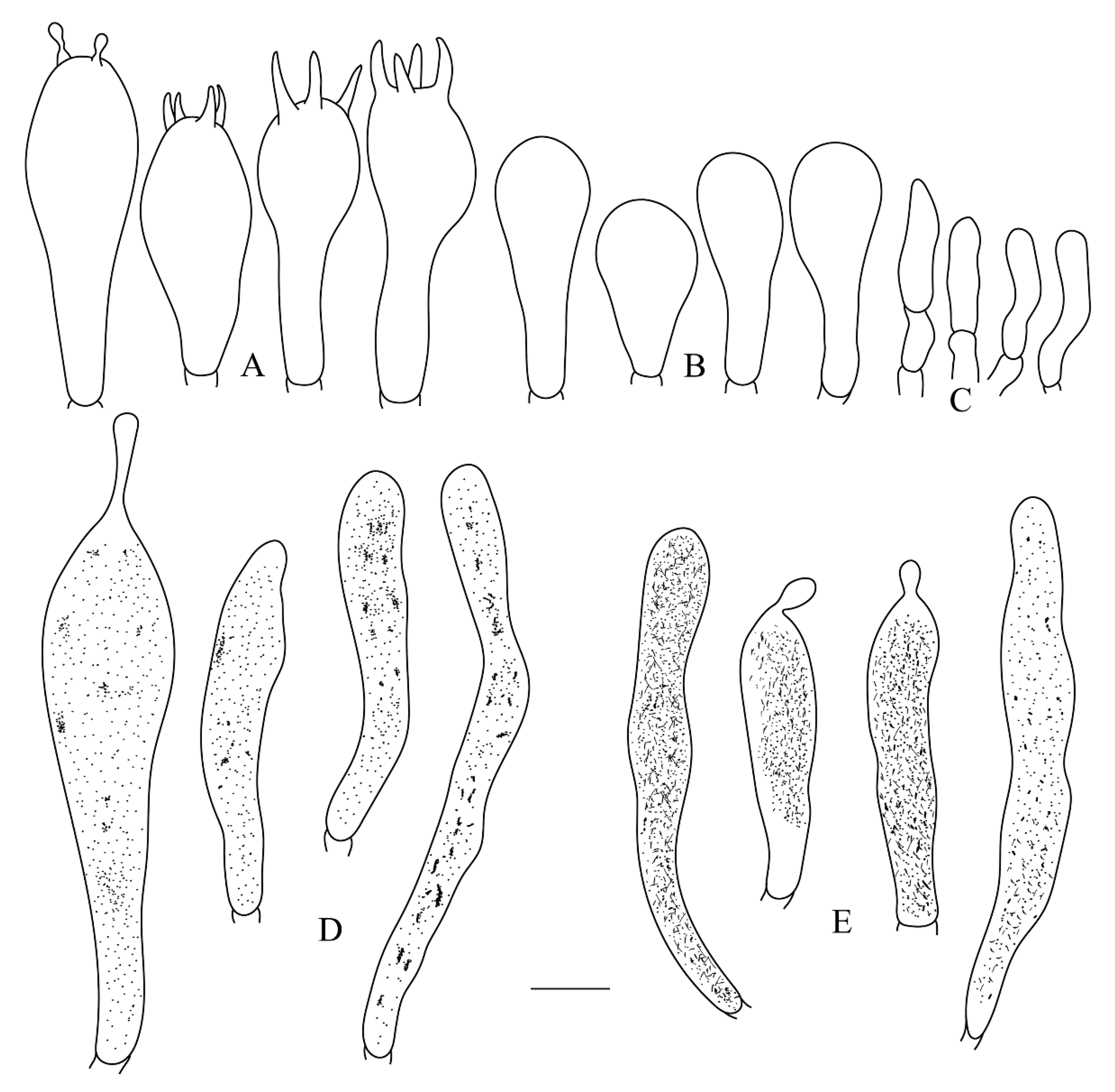 Life 12 00480 g007 550