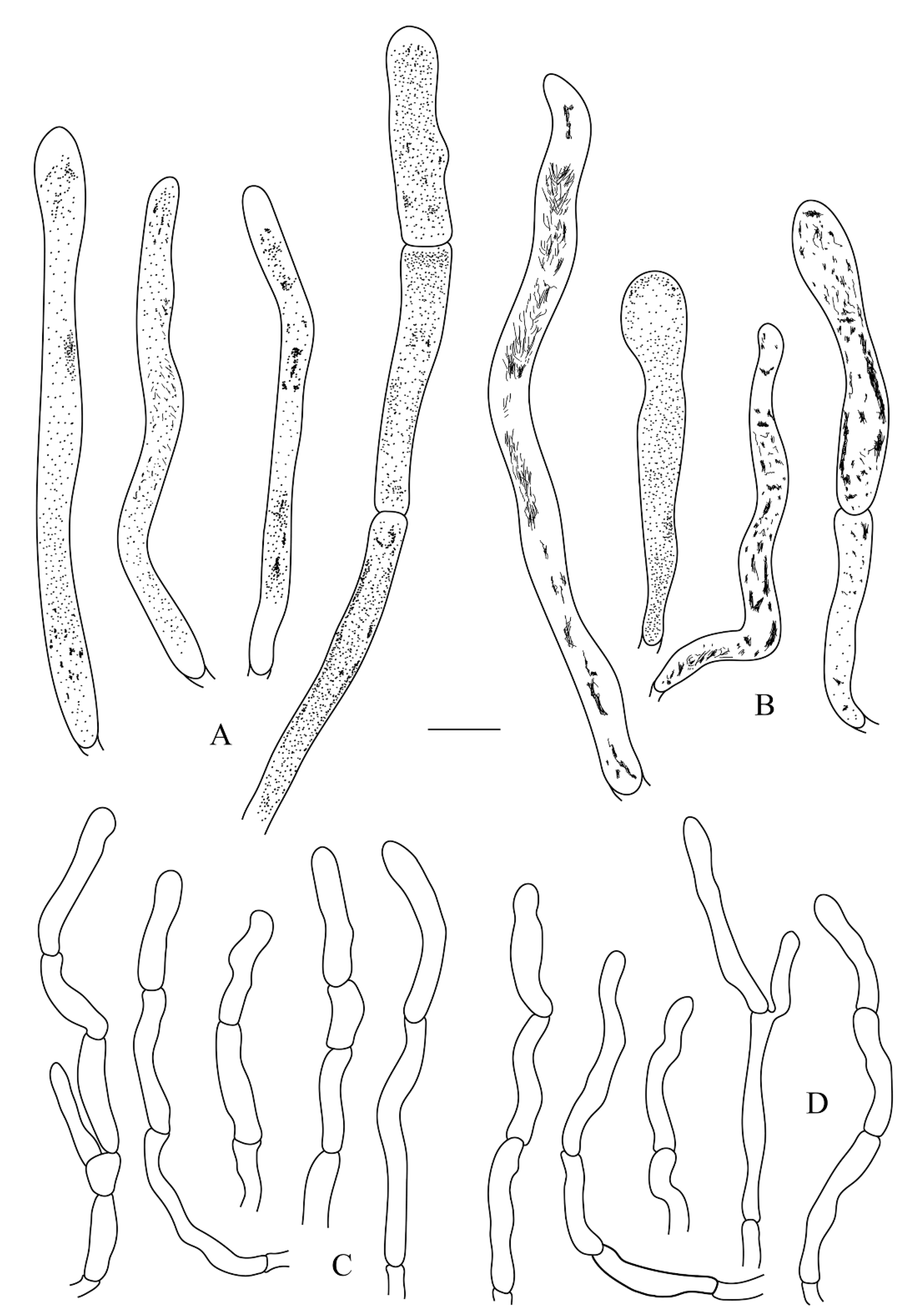 Life 12 00480 g008 550