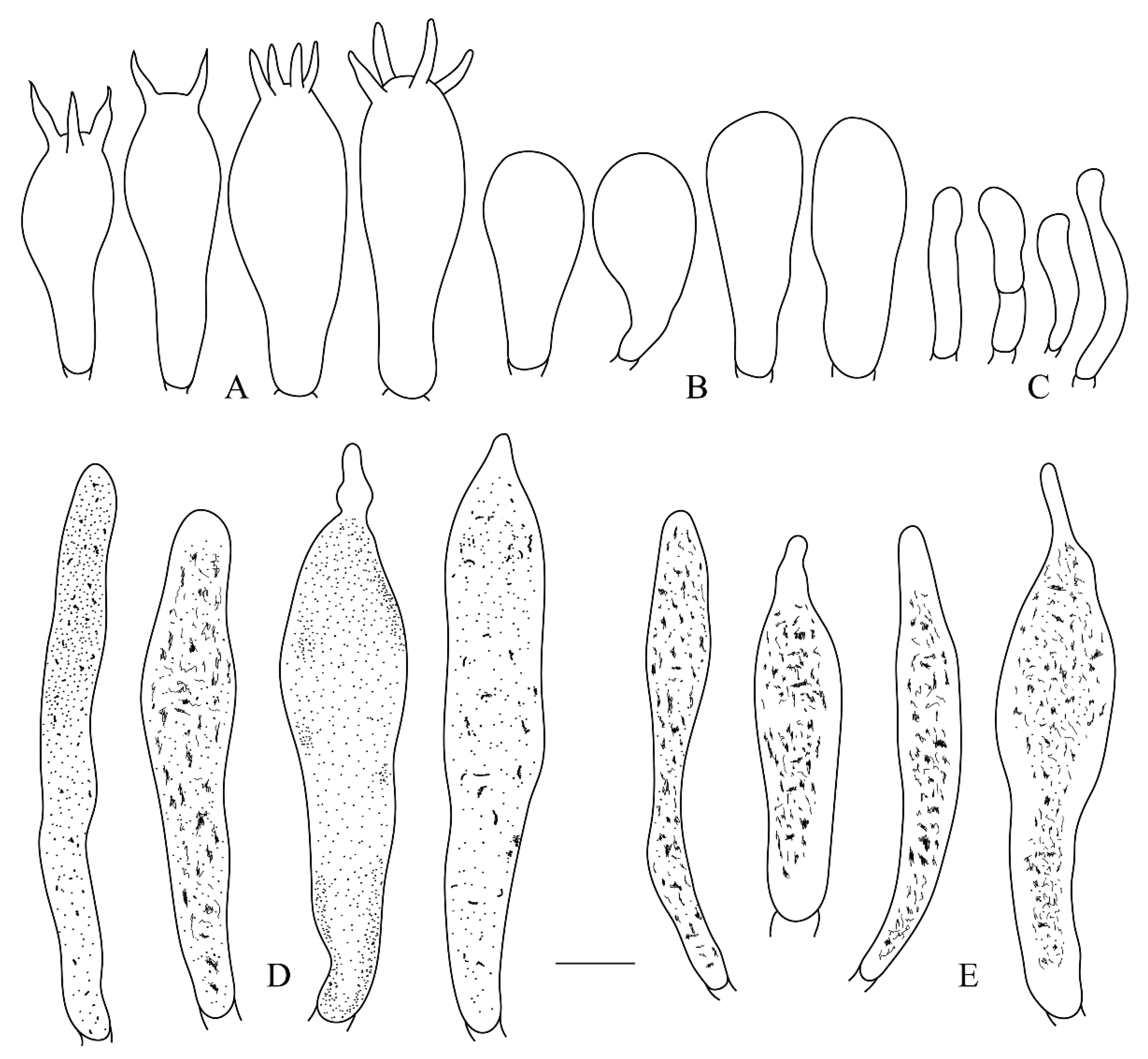 Life 12 00480 g009 550