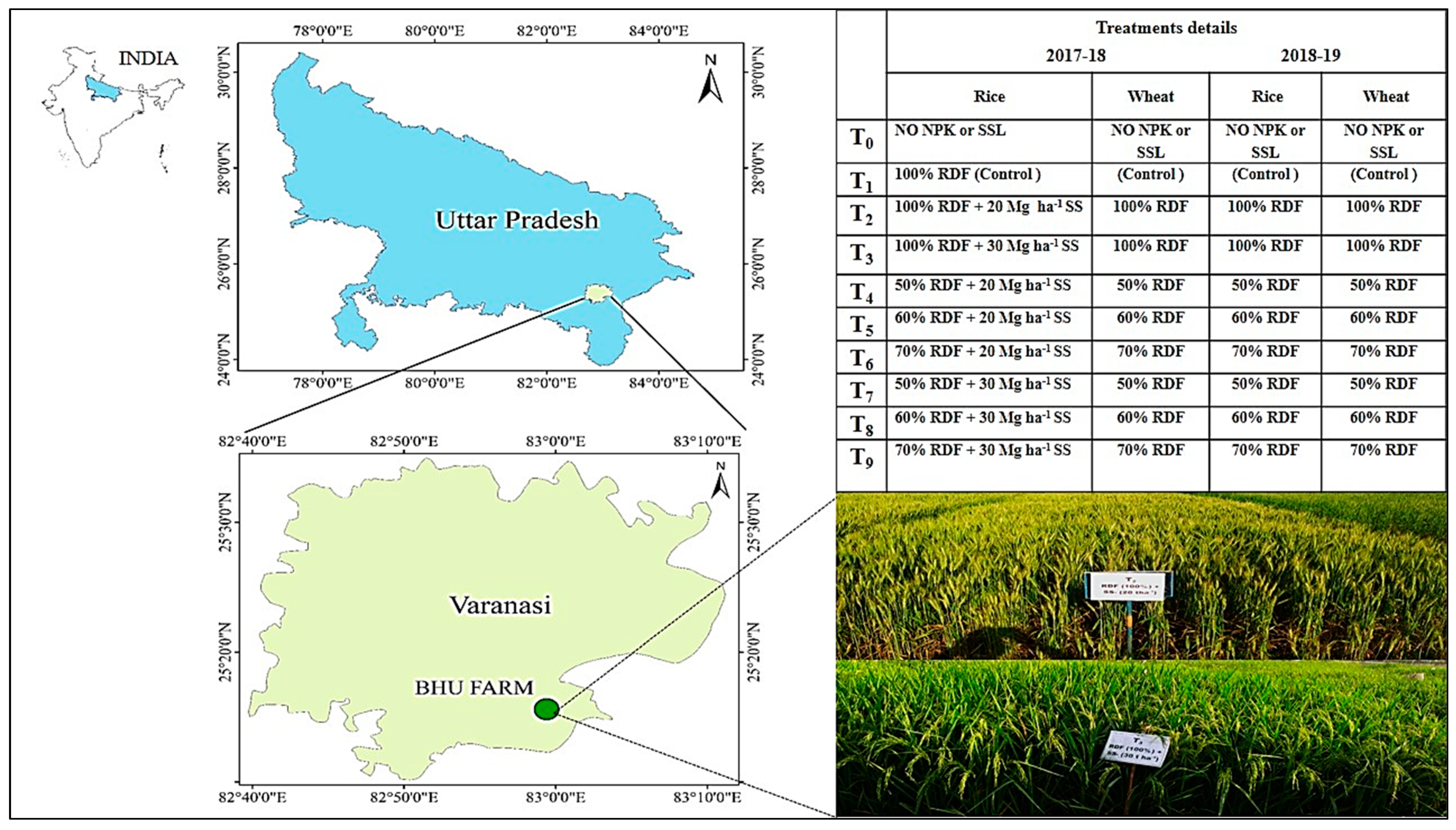 Life 12 00484 g001 550